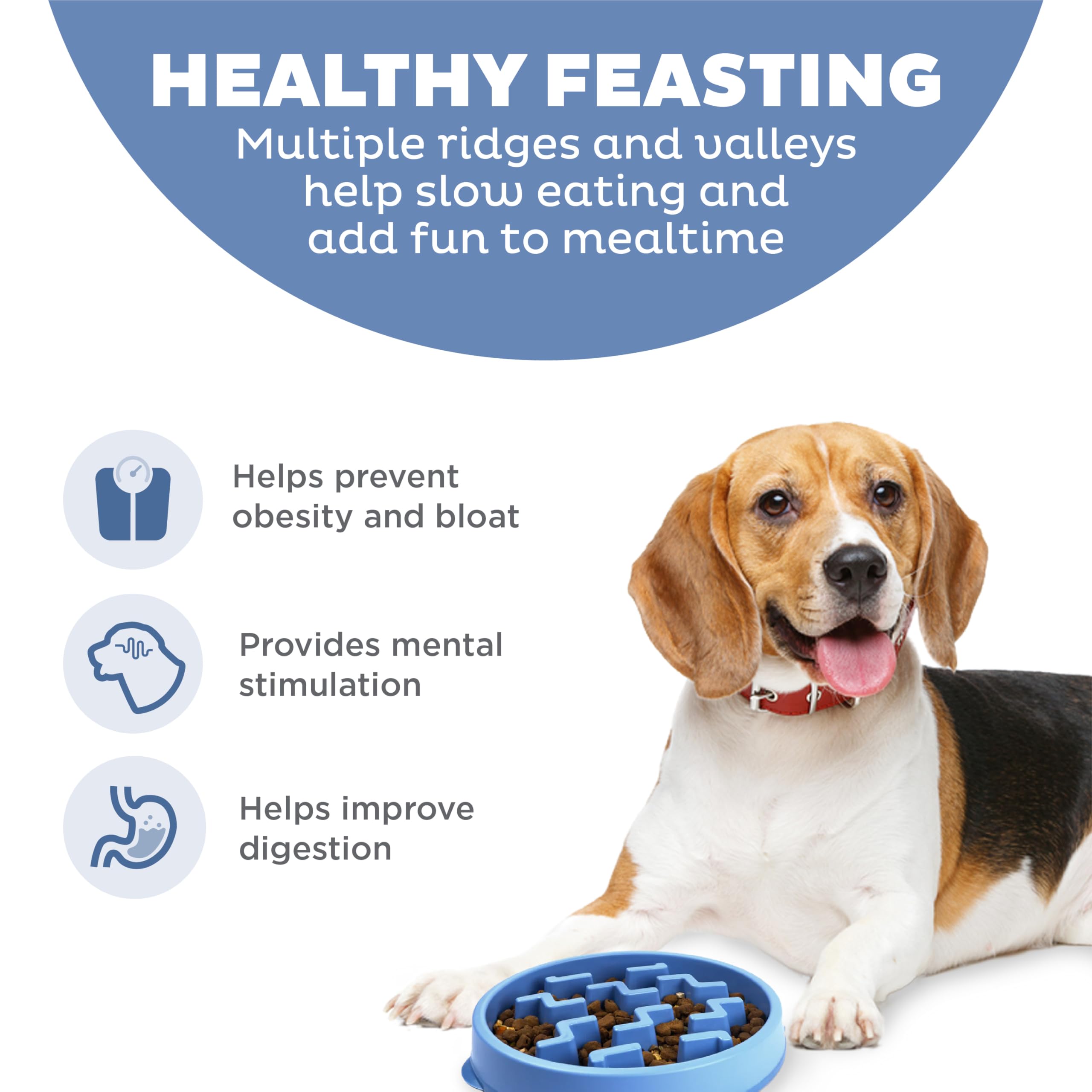 Outward Hound Slow Feeder Dog Bowl - Reduces Bloat, Improves Digestion | Medium, Blue