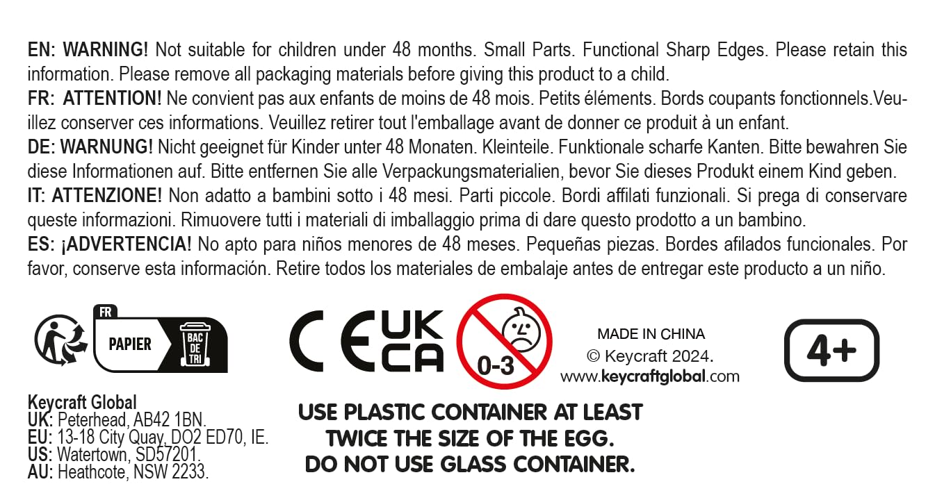 Nurchums Hatching Egg - Grow Your Own Stegosaurus Dinosaur (Large 11cm) 8