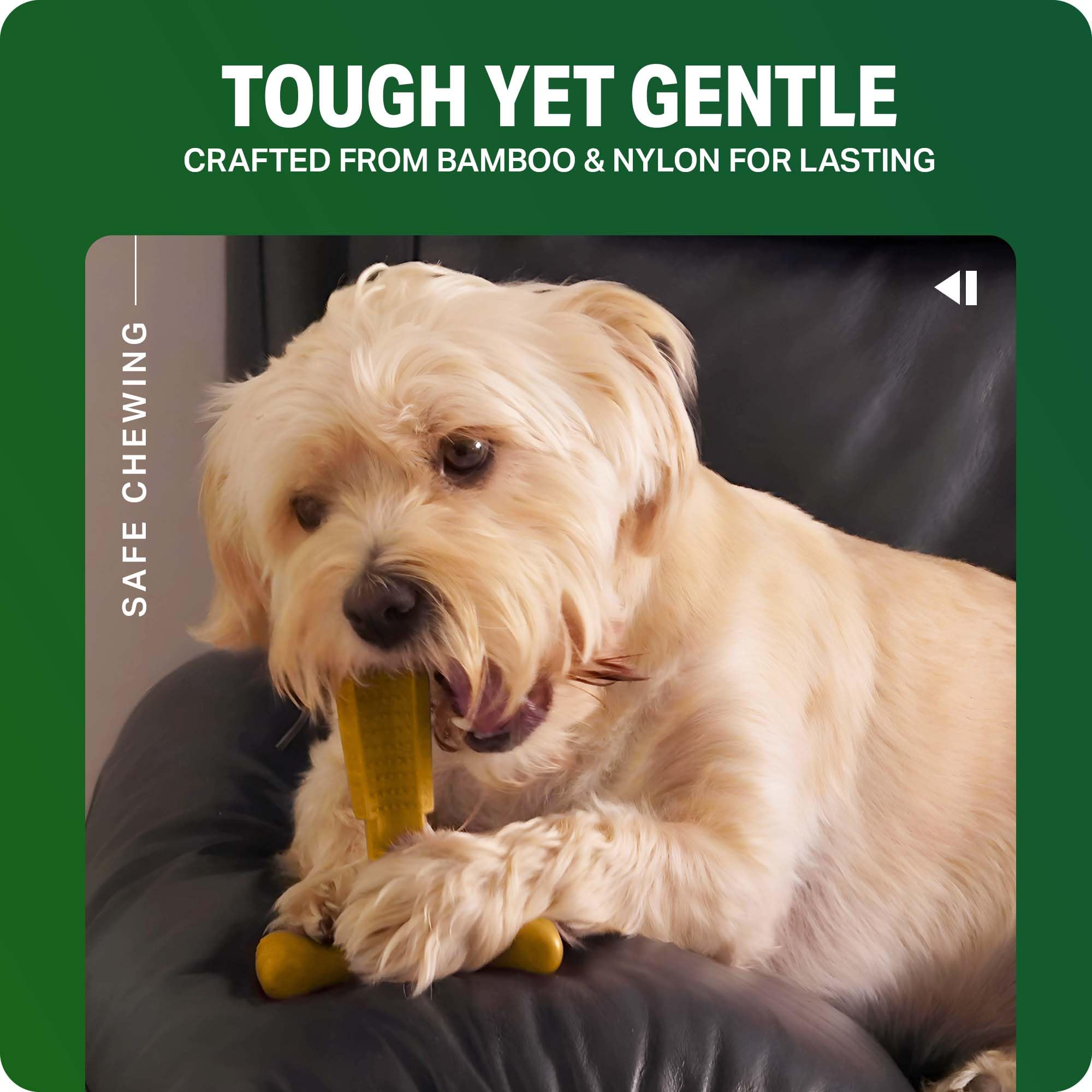 Bamboodles T-Bone Dog Chew Toy - Medium Size | Peanut Butter Flavour | Durable Bamboo Blend 6