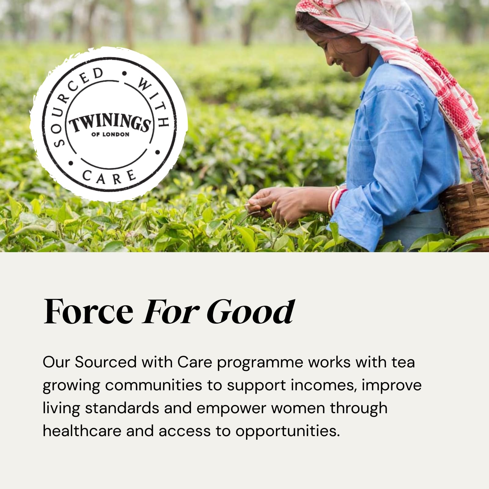 Twinings Superblends Collection Gift Box - 20 Recyclable Herbal & Green Tea Bags 3