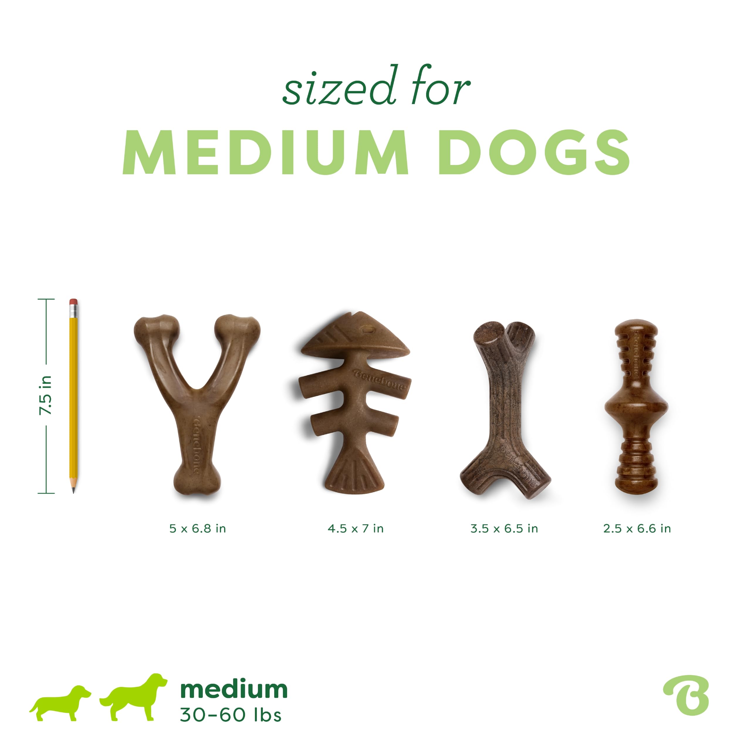 Benebone Durable Dog Chew Toy Box for Aggressive Chewers - 4 Pack Medium Nylon Chews with Bacon, Salmon & Maple Flavors 4