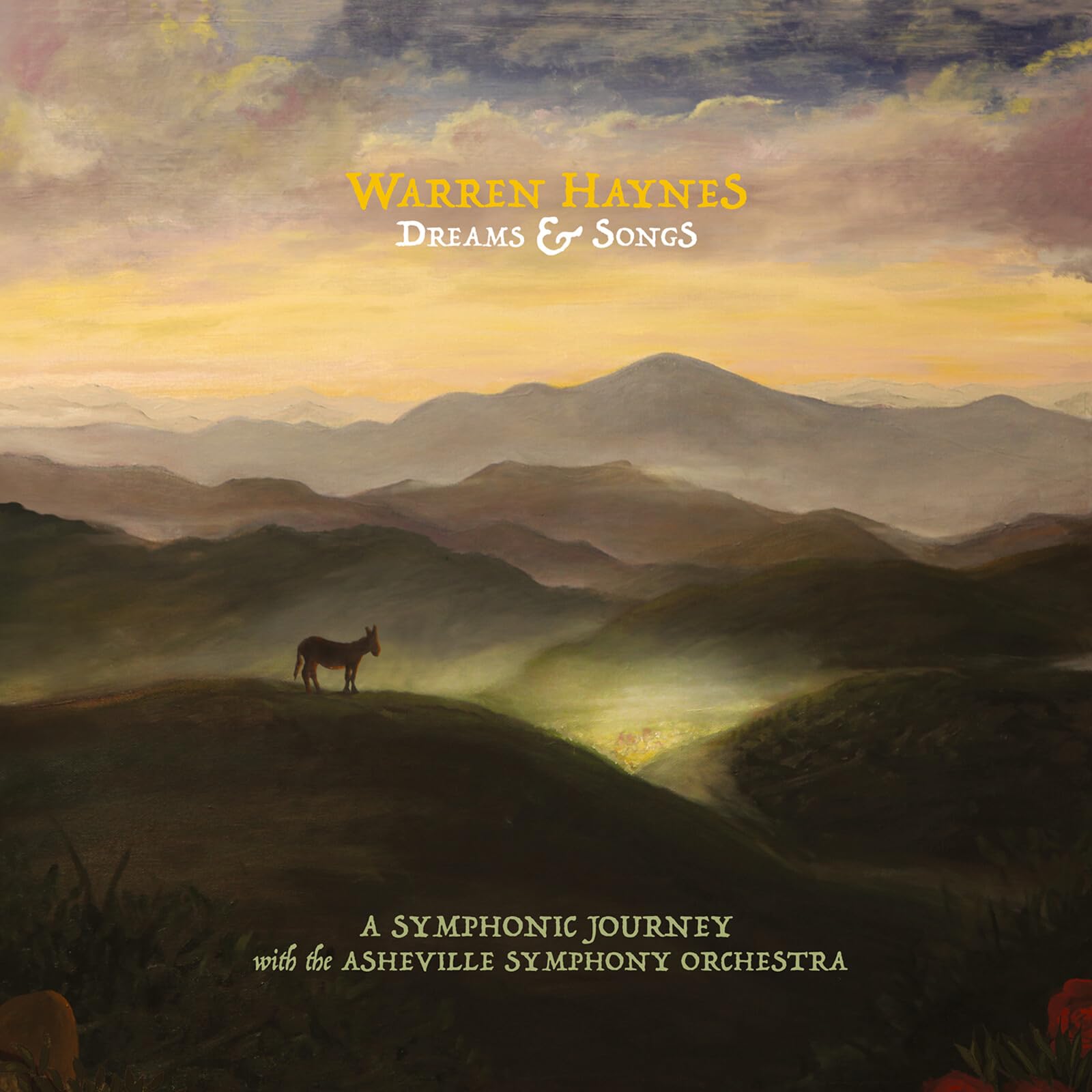 Warren Haynes - Dreams & Songs [CD] 1