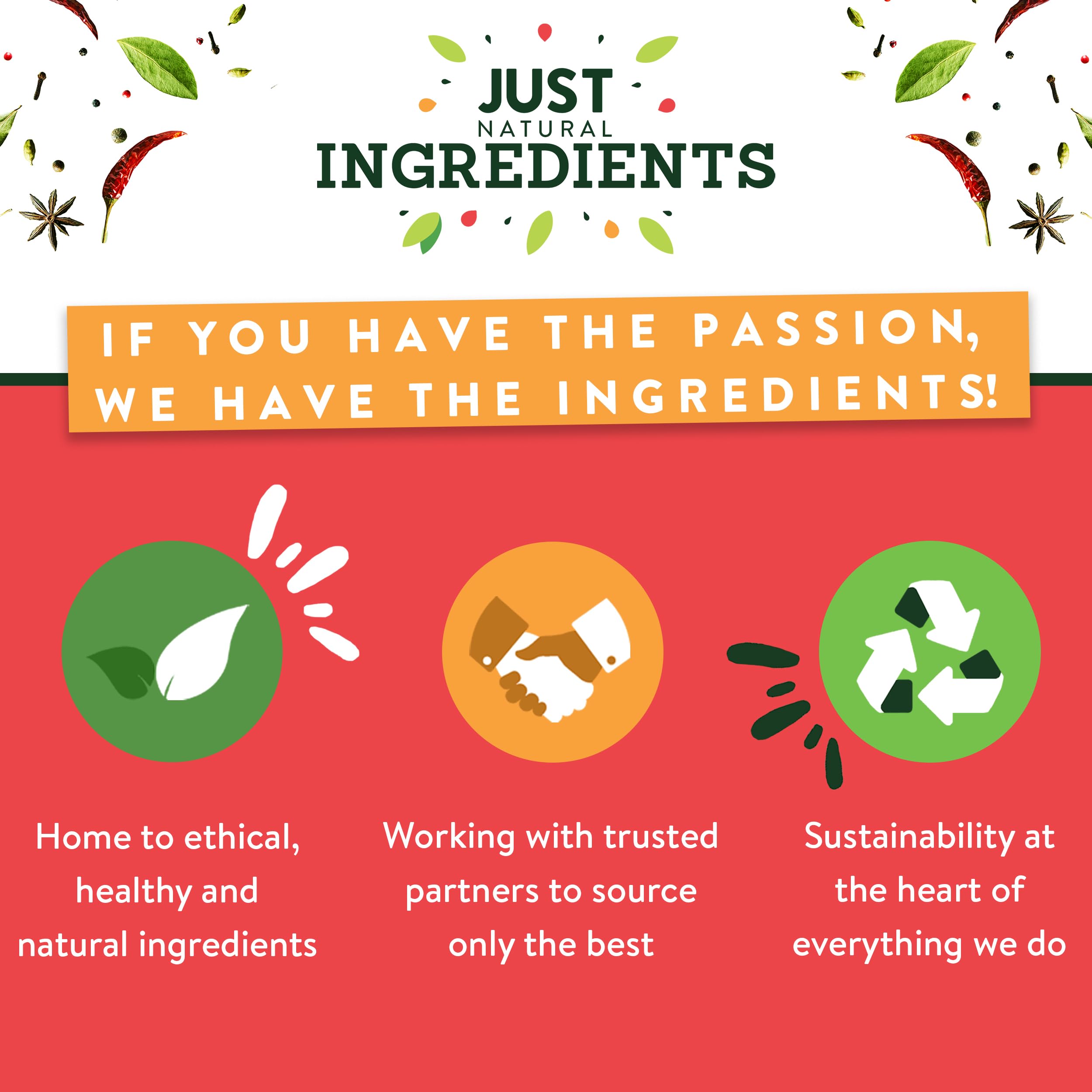 JustIngredients Tomato Flakes 100g - Organic Dried Tomatoes Flakes for Cooking