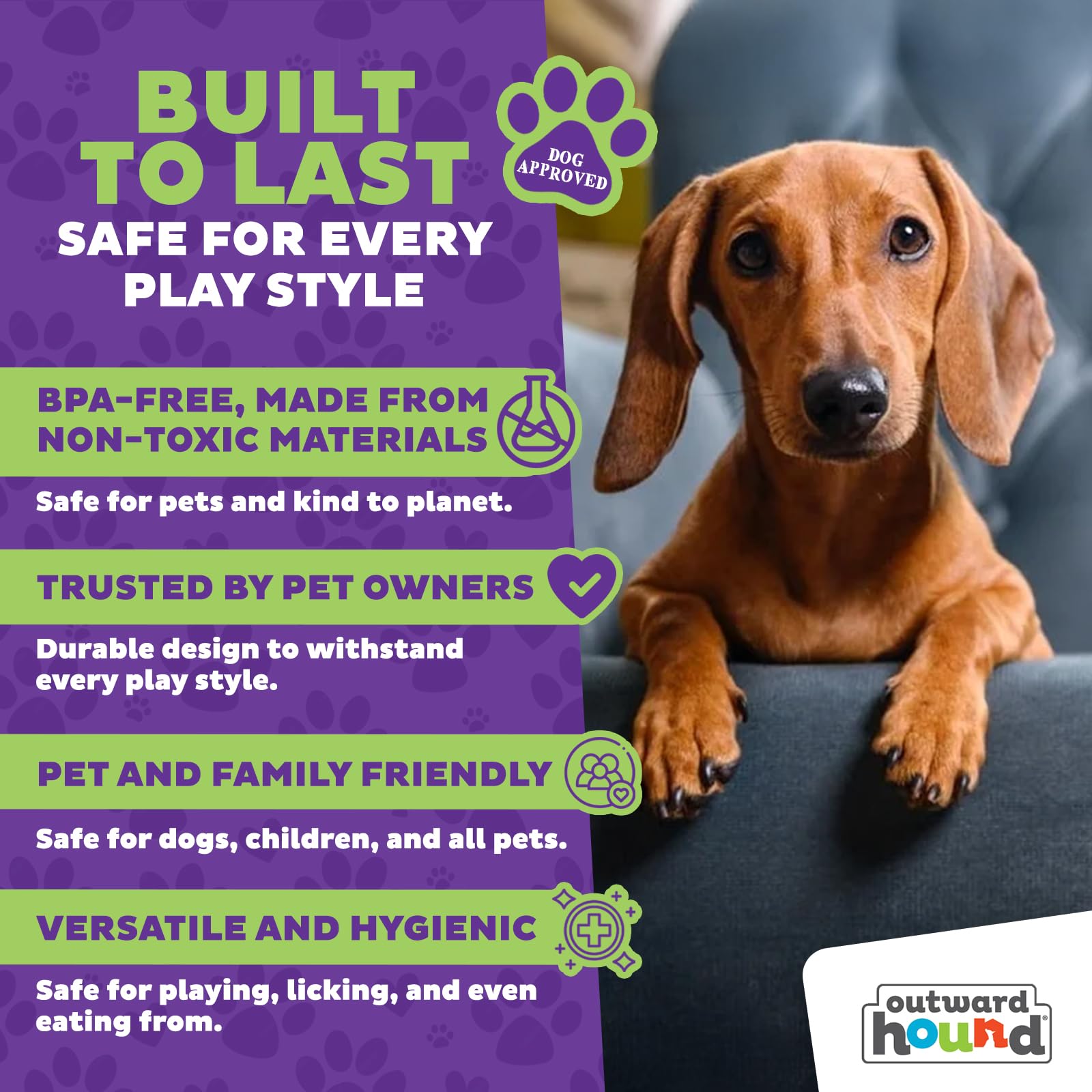 Outward Hound Nina Ottosson Puppy Smart Puzzle Dog Toy - Level 1 Beginner Challenge | Plastic 4