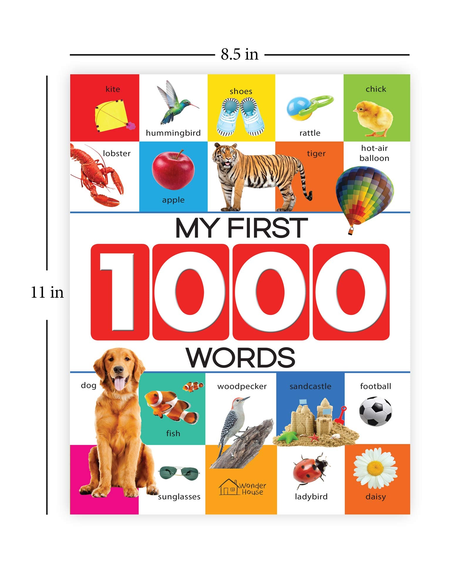 Wonder House My First 1000 Words Early Learning Picture Book | Paperback | English 3