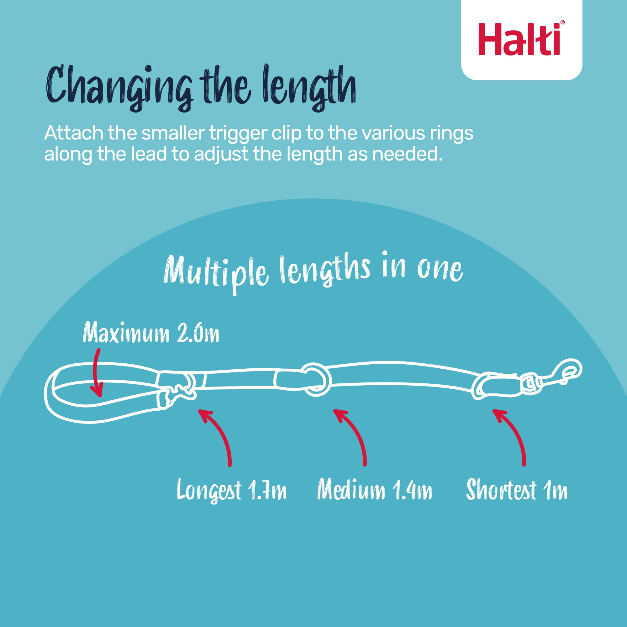 Halti Training Lead - Versatile & Durable Dog Training Lead | Purple, Small, 2m
