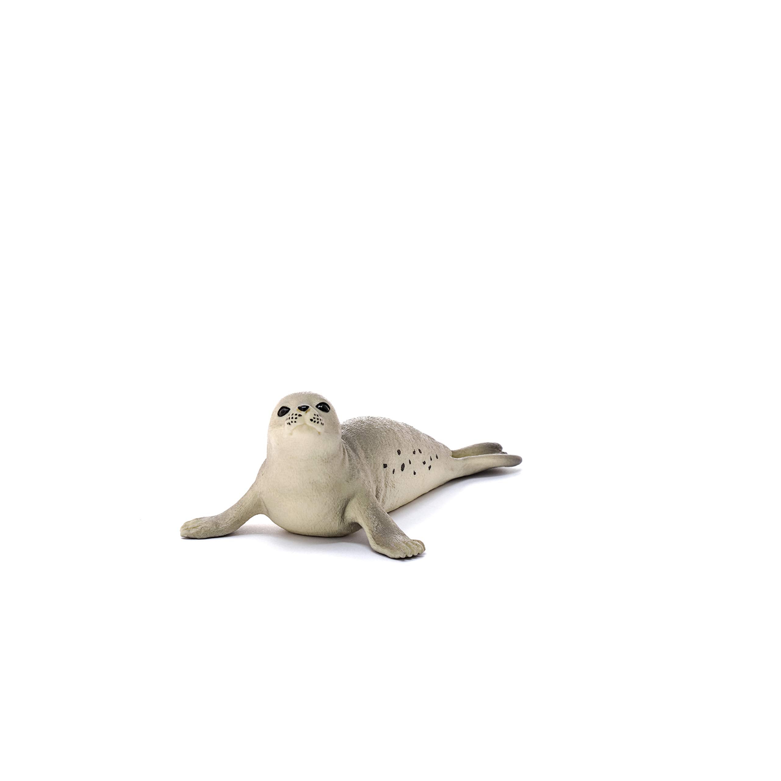 SCHLEICH 14801 Seal Wildlife Animal Figure - Educational Play for Kids 7