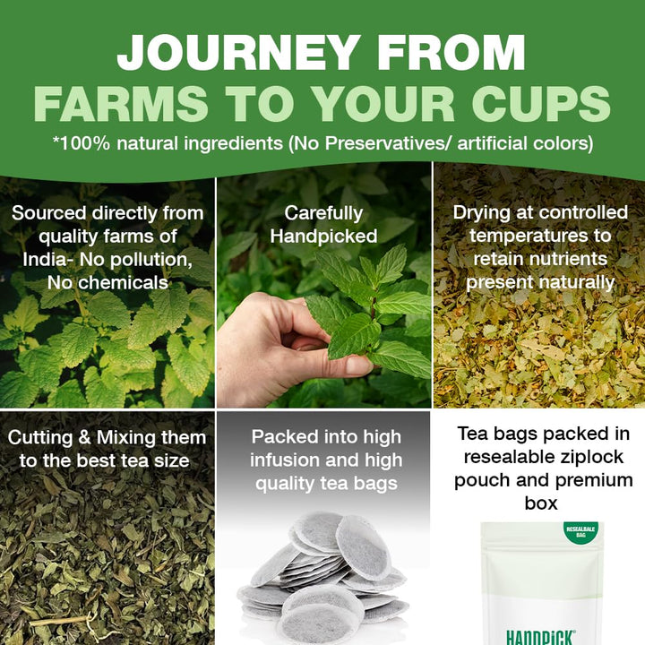 HANDPICK Lemon Balm Tea Bags – 100 Count | Caffeine-Free, Gluten-Free Herbal Tea from India