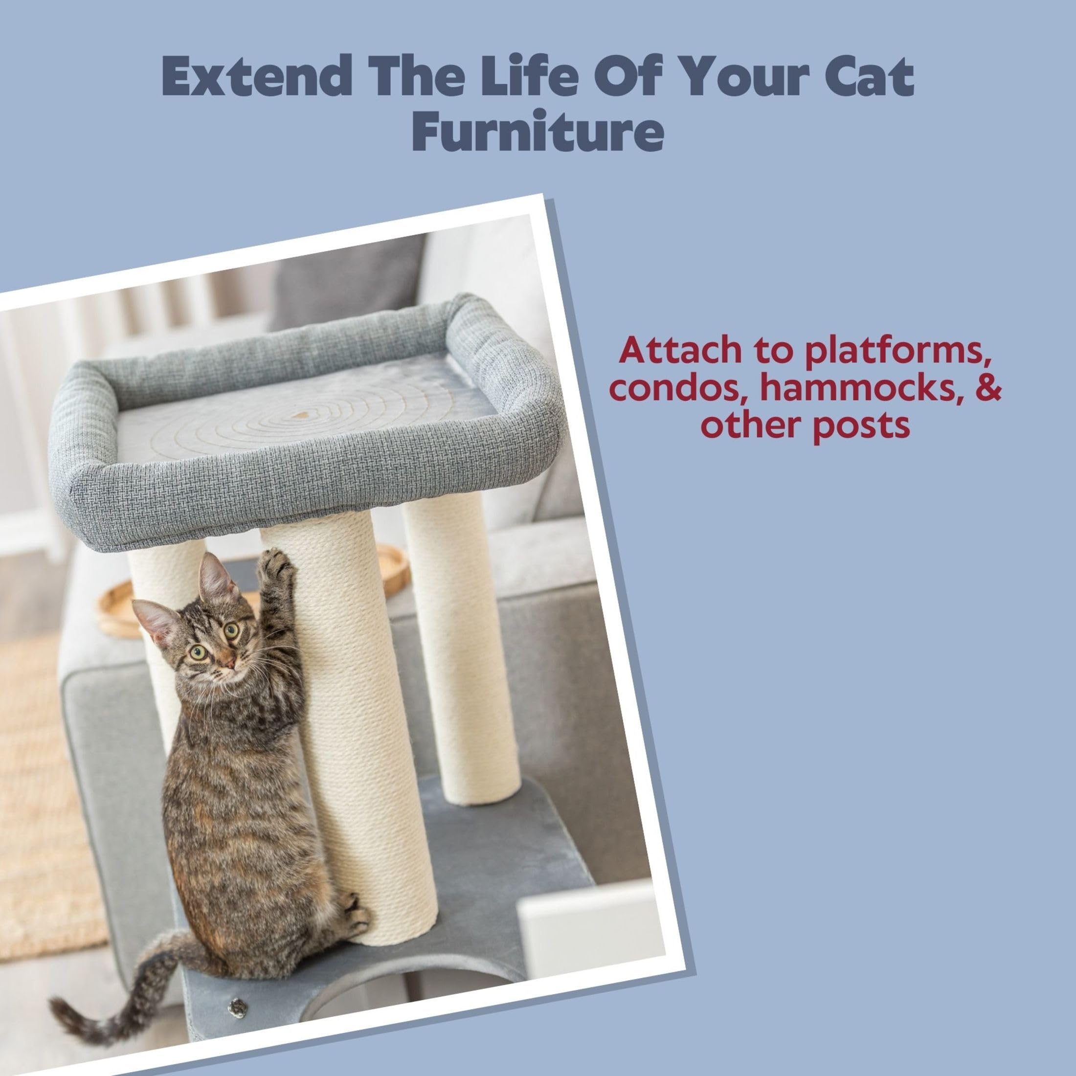 TRIXIE Spare Posts for Scratching Posts - 9/30 cm Sisal Replacement | Fits Most Cat Trees
