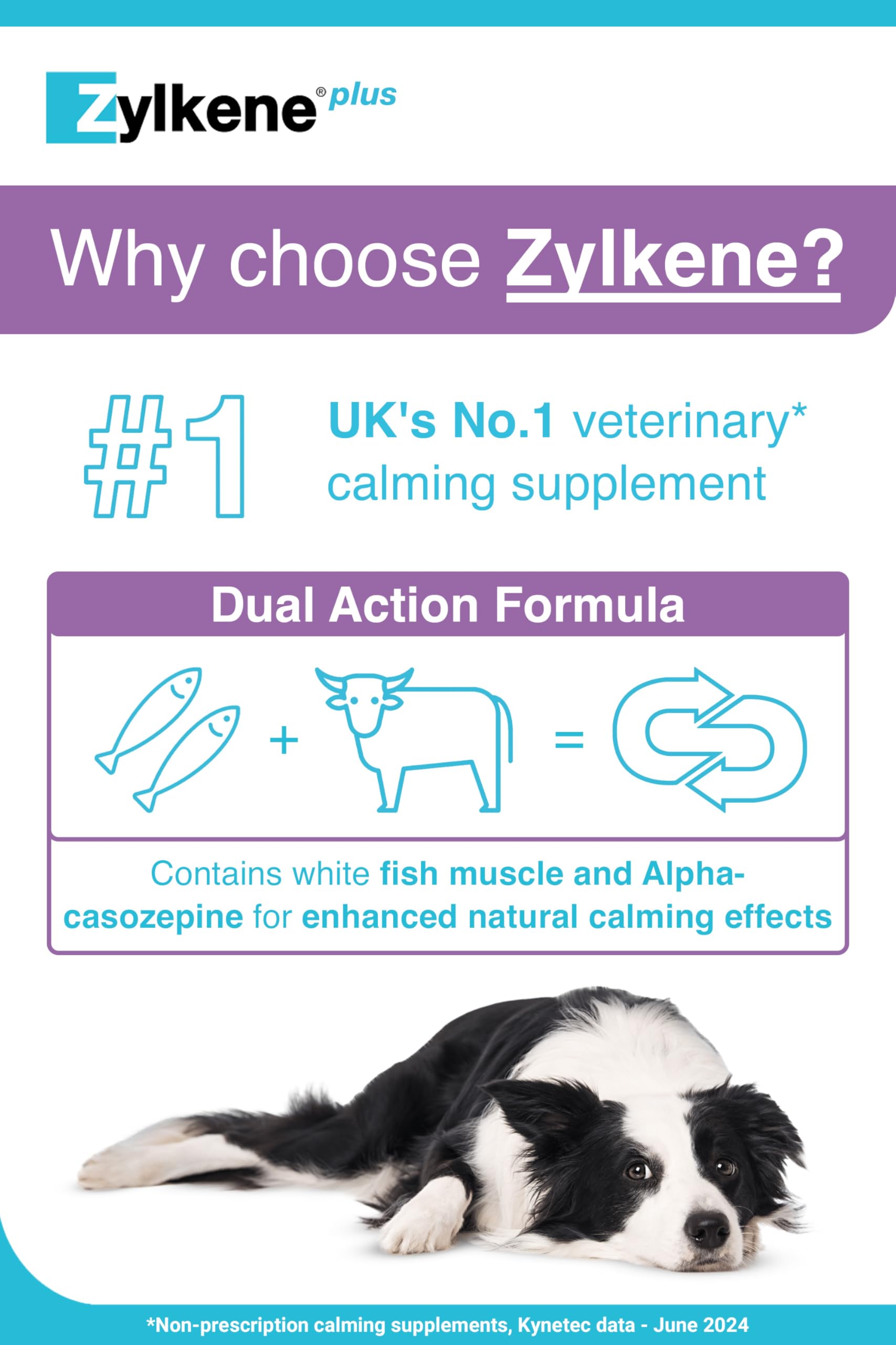 Zylkene Calming Supplement for Large Dogs (30kg-60kg) 450mg | 30 Capsules