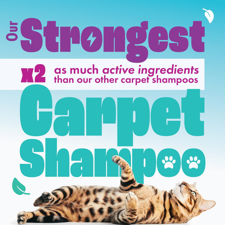 Dirtbusters - Pet Pro Carpet Cleaner Shampoo (1 Litre Concentrate)