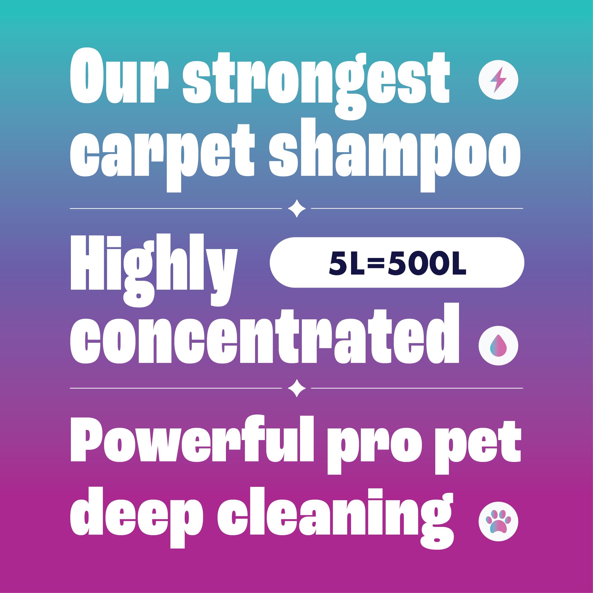 Dirtbusters Pet Pro Carpet Cleaner Shampoo - Concentrated 1L, Makes 100L, Low pH Formula