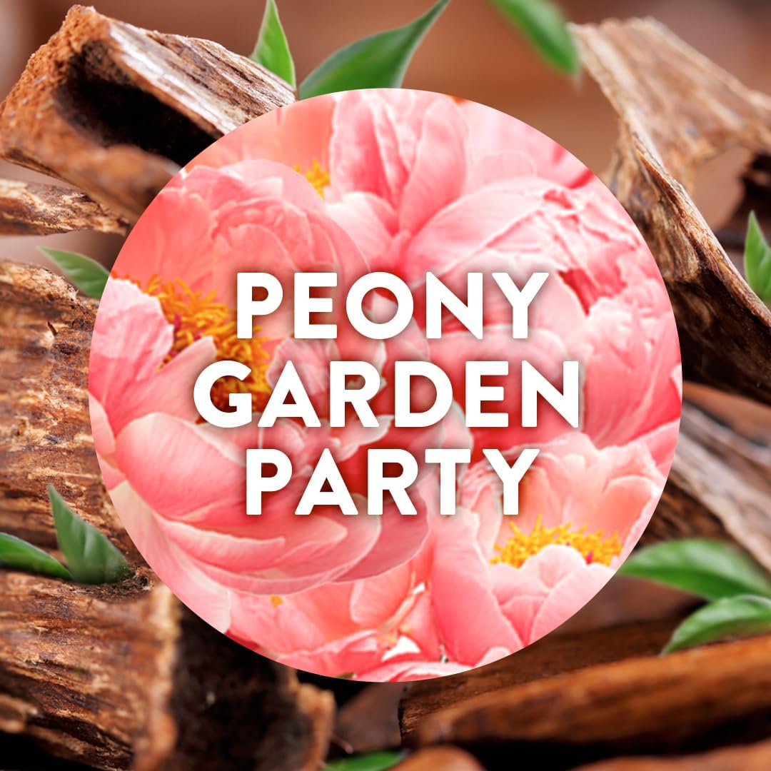 Airwick - Peony Garden Party Plug In Diffuser Refill