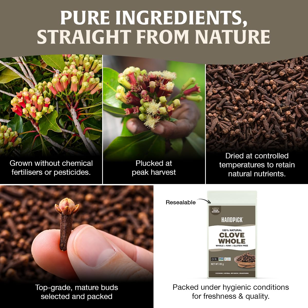 HANDPICK Whole Cloves - Premium South Indian Spice | 397g 6