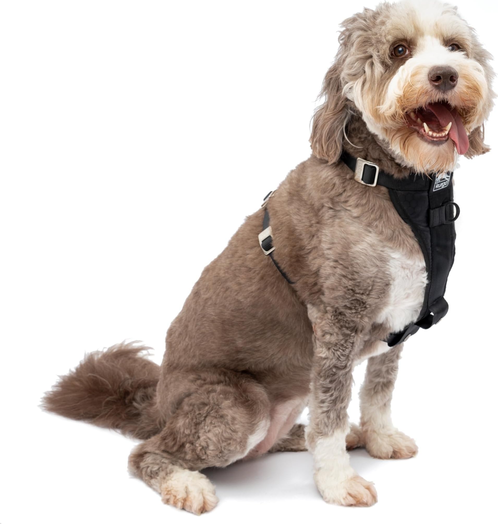 Kurgo Enhanced Strength Tru-Fit Dog Car Harness - Crash Tested, Adjustable, Padded Chest | Large 1