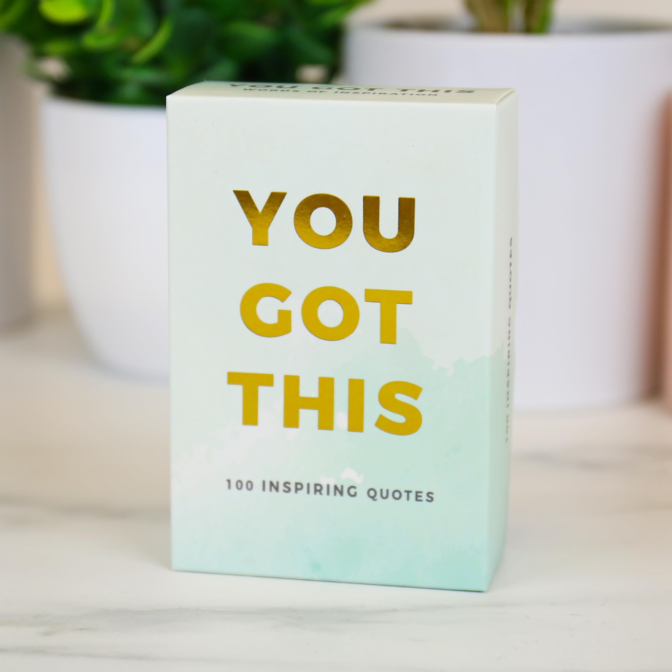 Gift Republic You Got This Inspirational Quotes Cards | 100 Count | Multicolor 1