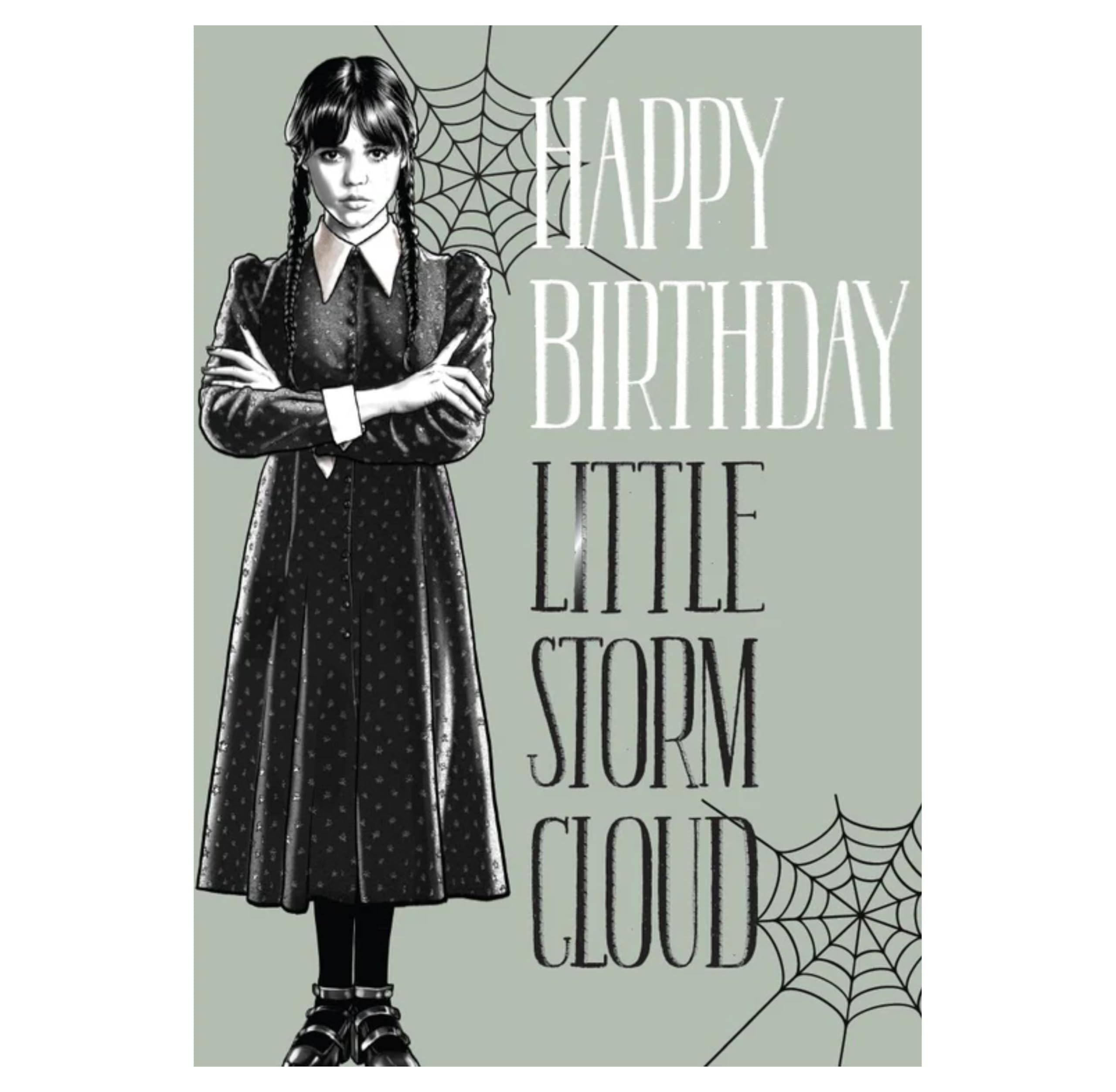 Wednesday Birthday Card 'Happy Birthday Little Storm Cloud' | 176mm x 127mm 1