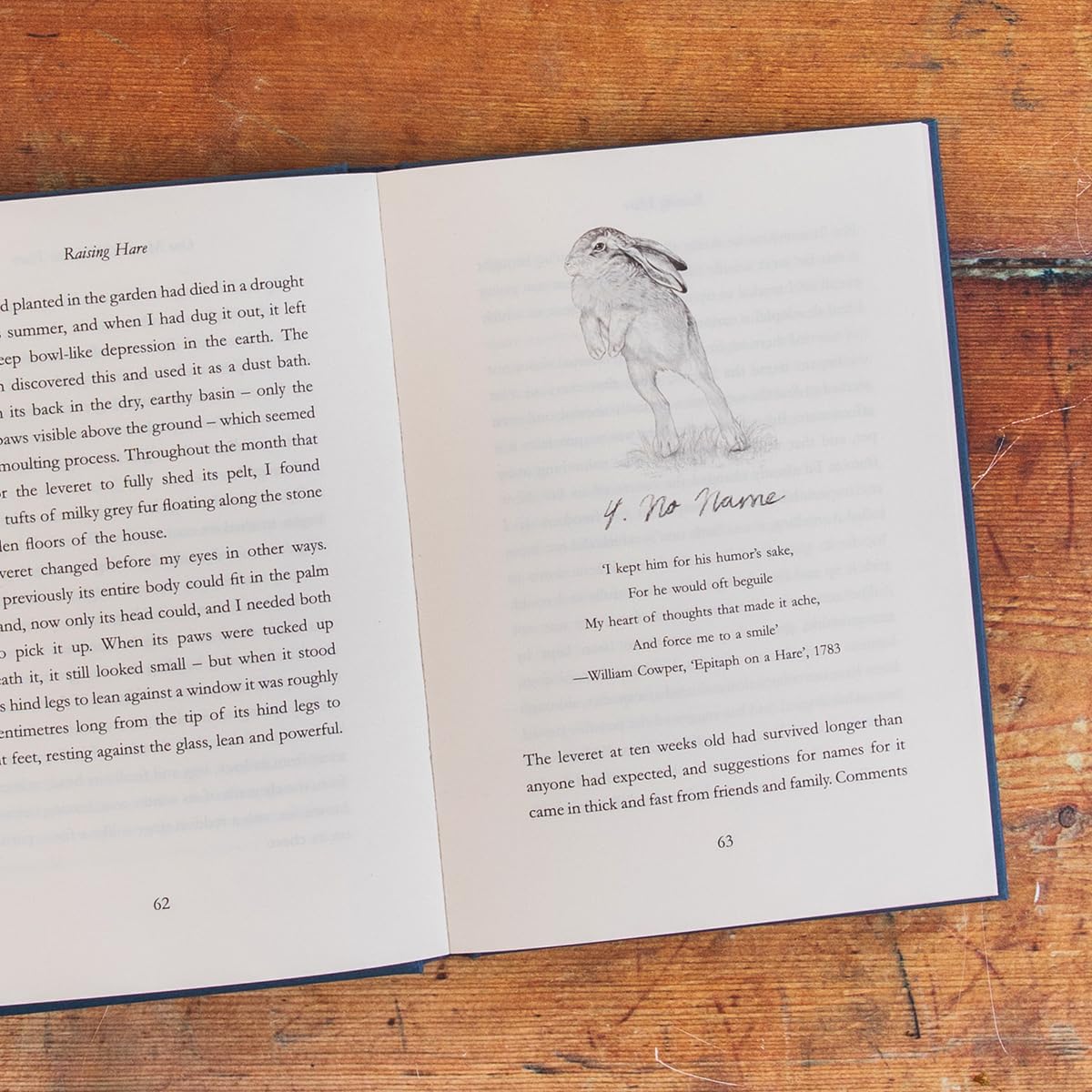 Chloe Dalton - Raising Hare: The heart-warming true story of an unlikely friendship | Hardcover 4