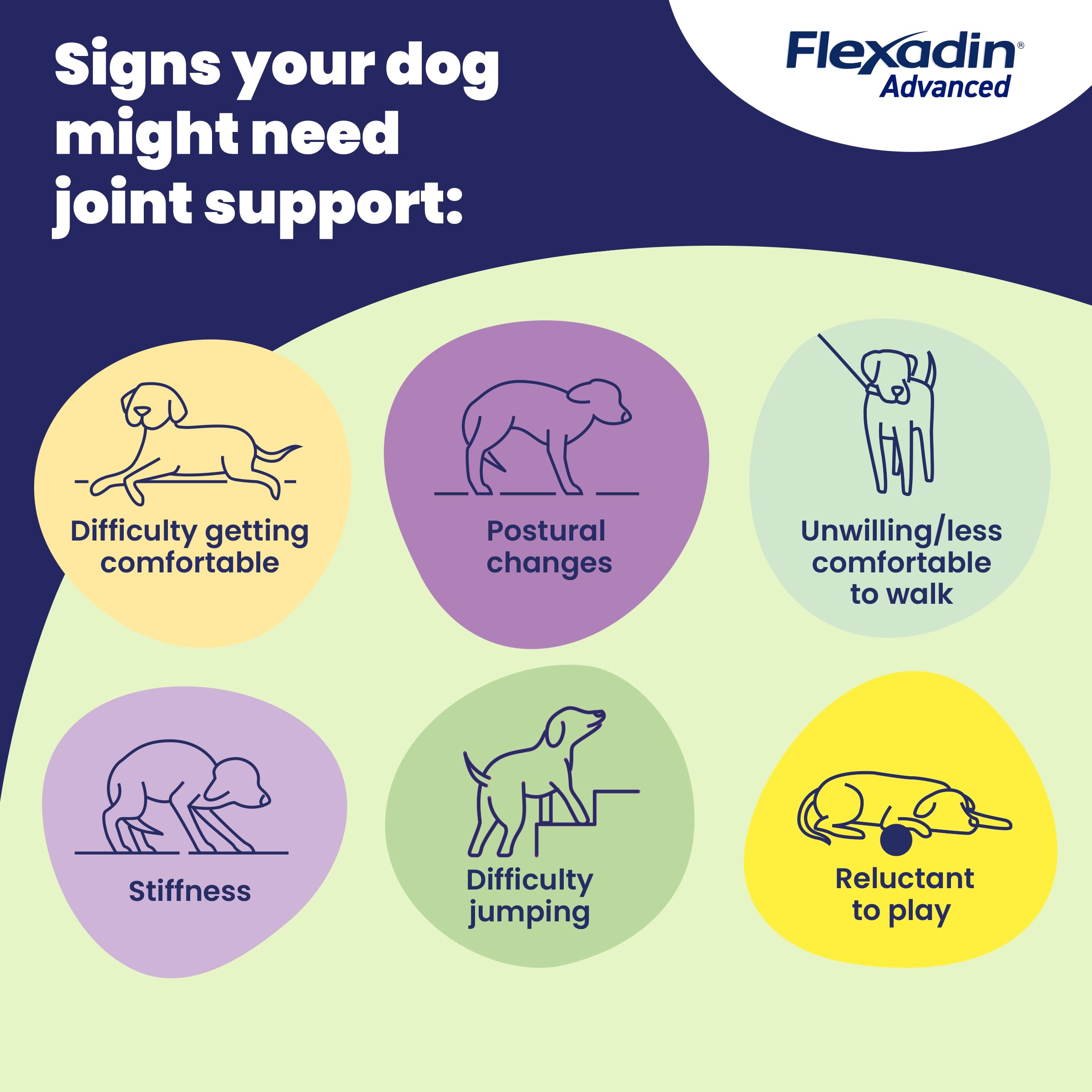 Vetoquinol Flexadin Advanced Joint Care Multivitamins for Dogs - 30 Chews 4
