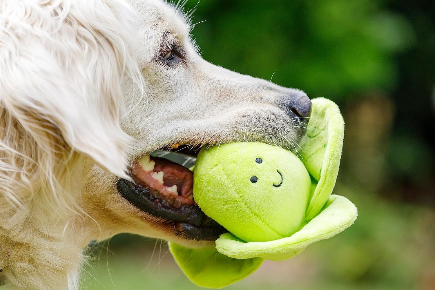 Petface Foodie Faces Fluffy Sprout Dog Toy - Plush Design | Built-in Squeaker | Pack of 1 7