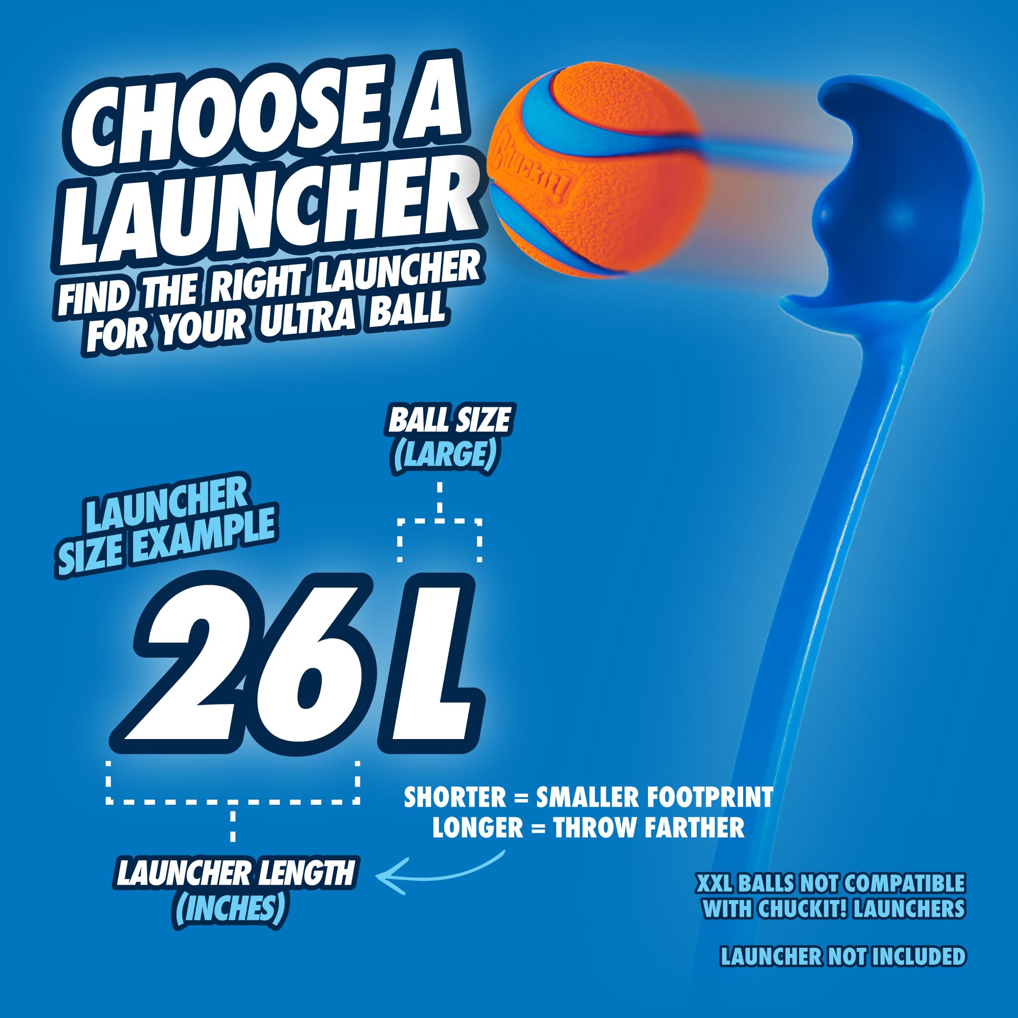 Chuckit! Ultra Ball - High Bounce Fetch Toy | 7 cm Diameter | Natural Rubber 5