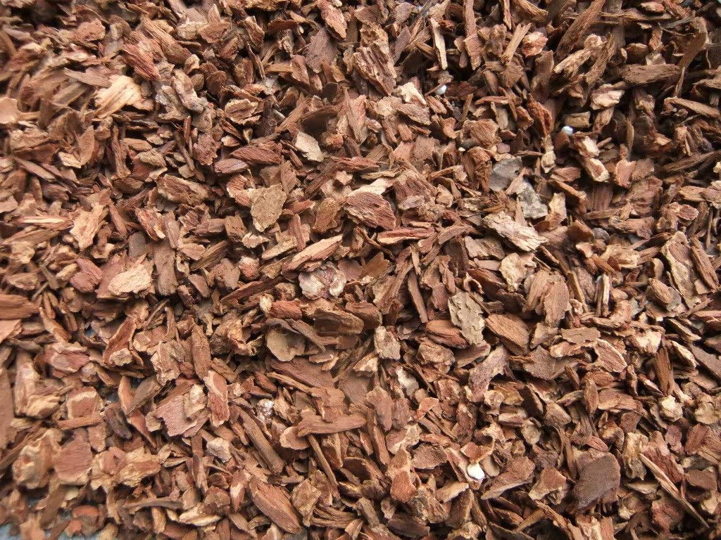 Komodo Forest Terrain Orchid Bark Fine Chips - 6L Tropical Substrate 2