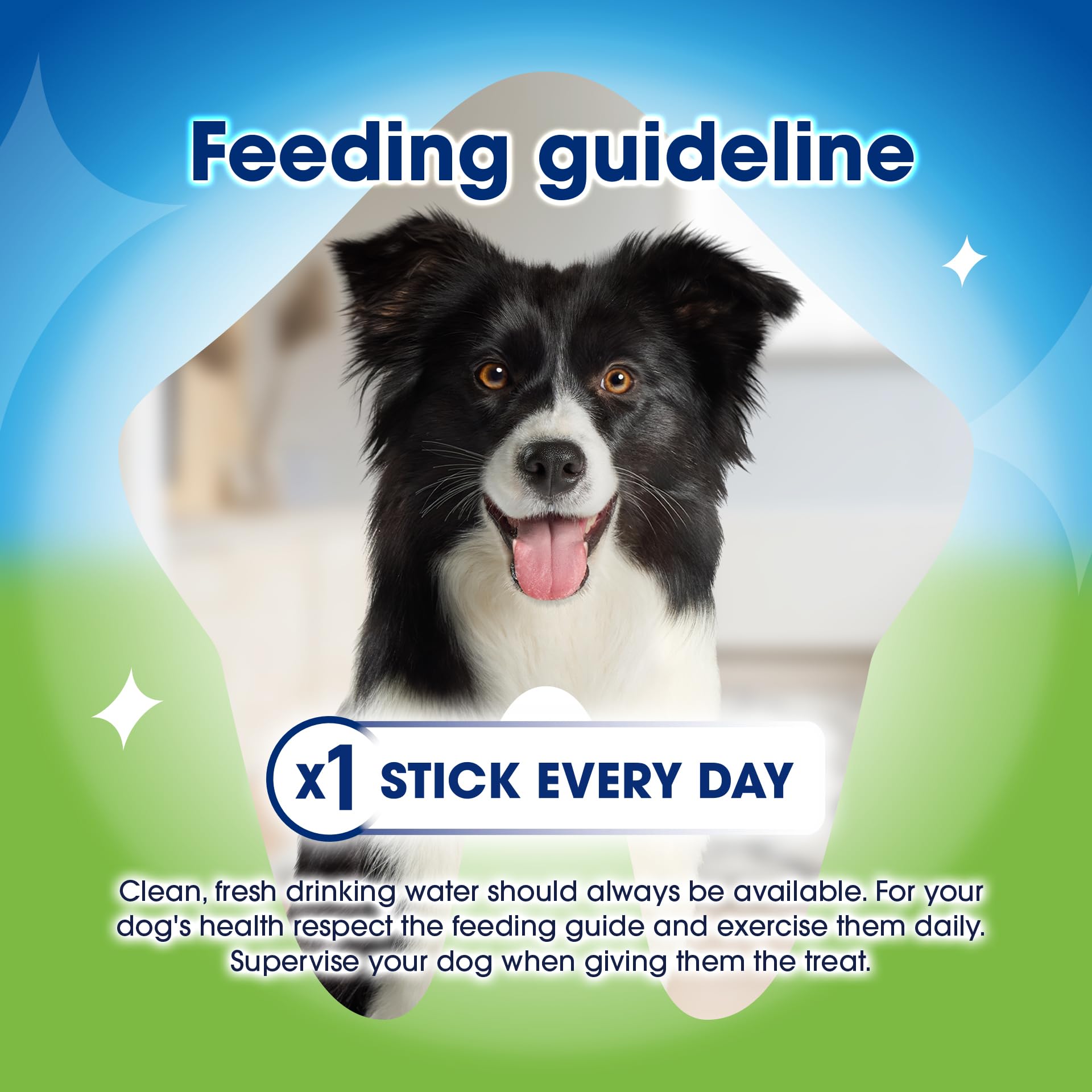 Dentalife ActivFresh Large Dog Dental Sticks Chicken Flavor | Fights Bad Breath & Tartar | 6 Pack 4