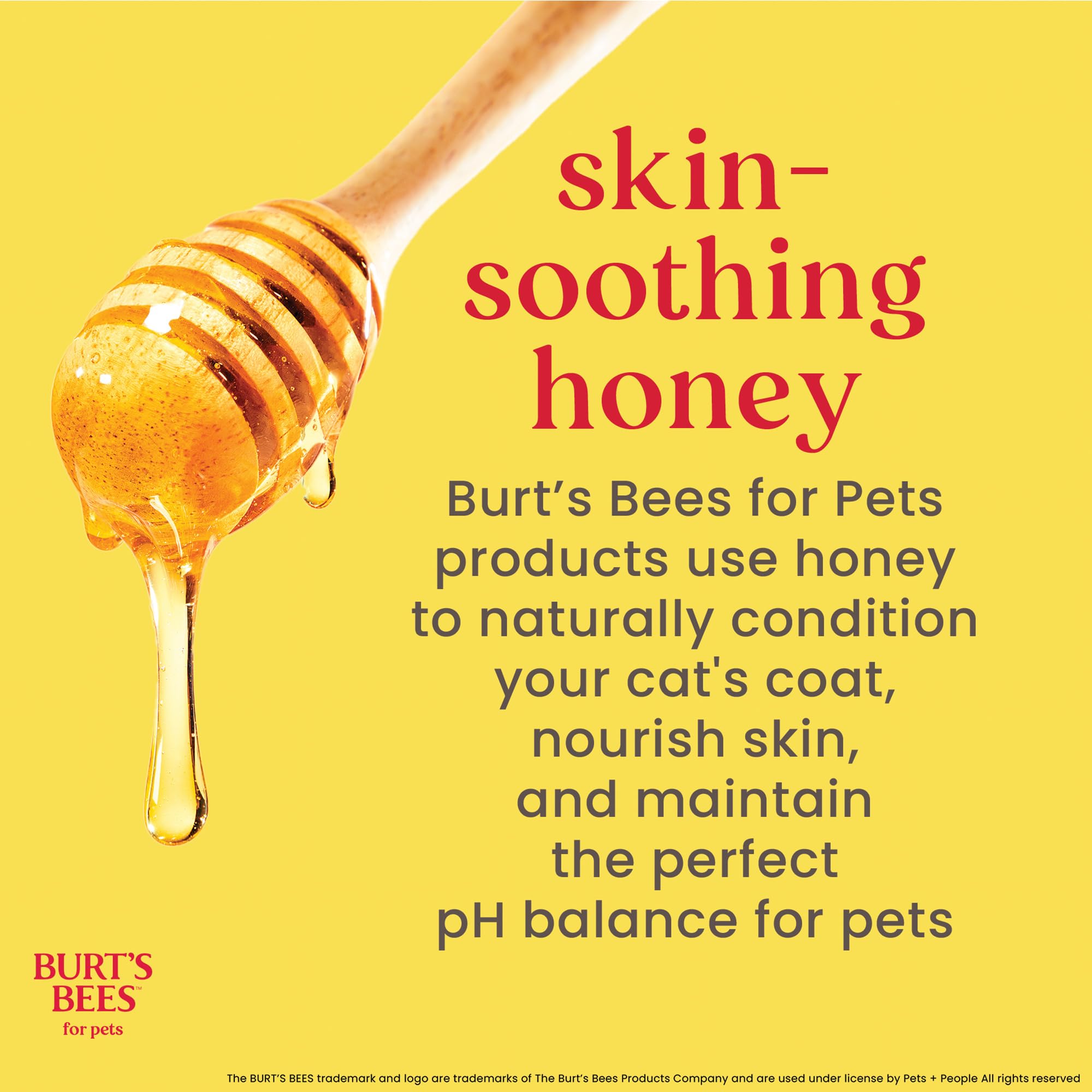 BURT'S BEES FOR PETS Dander Reducing Spray for Cats - 296ml | pH Balanced | Aloe Vera & Oatmeal 4