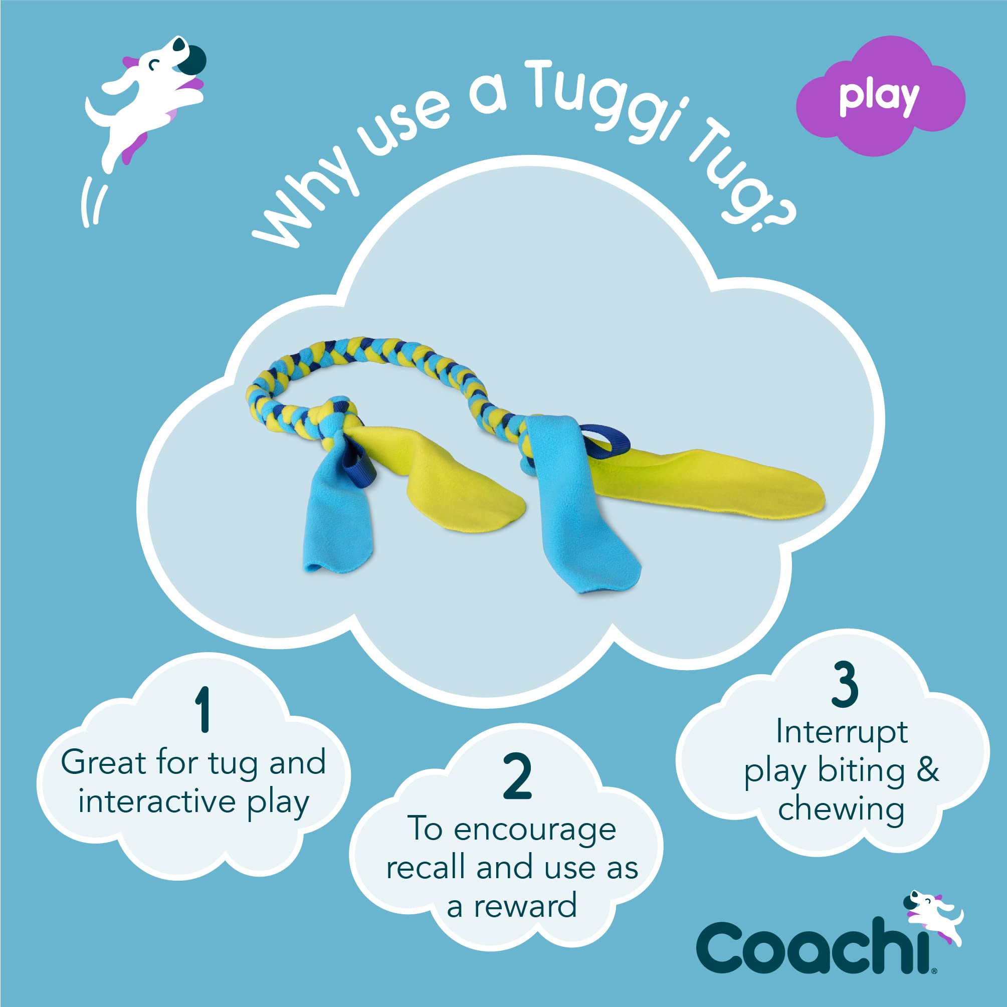 Coachi Tuggi Tug - Interactive Dog Toy for Tug of War & Training | Strong Polyester | Navy, Lime & Light Blue