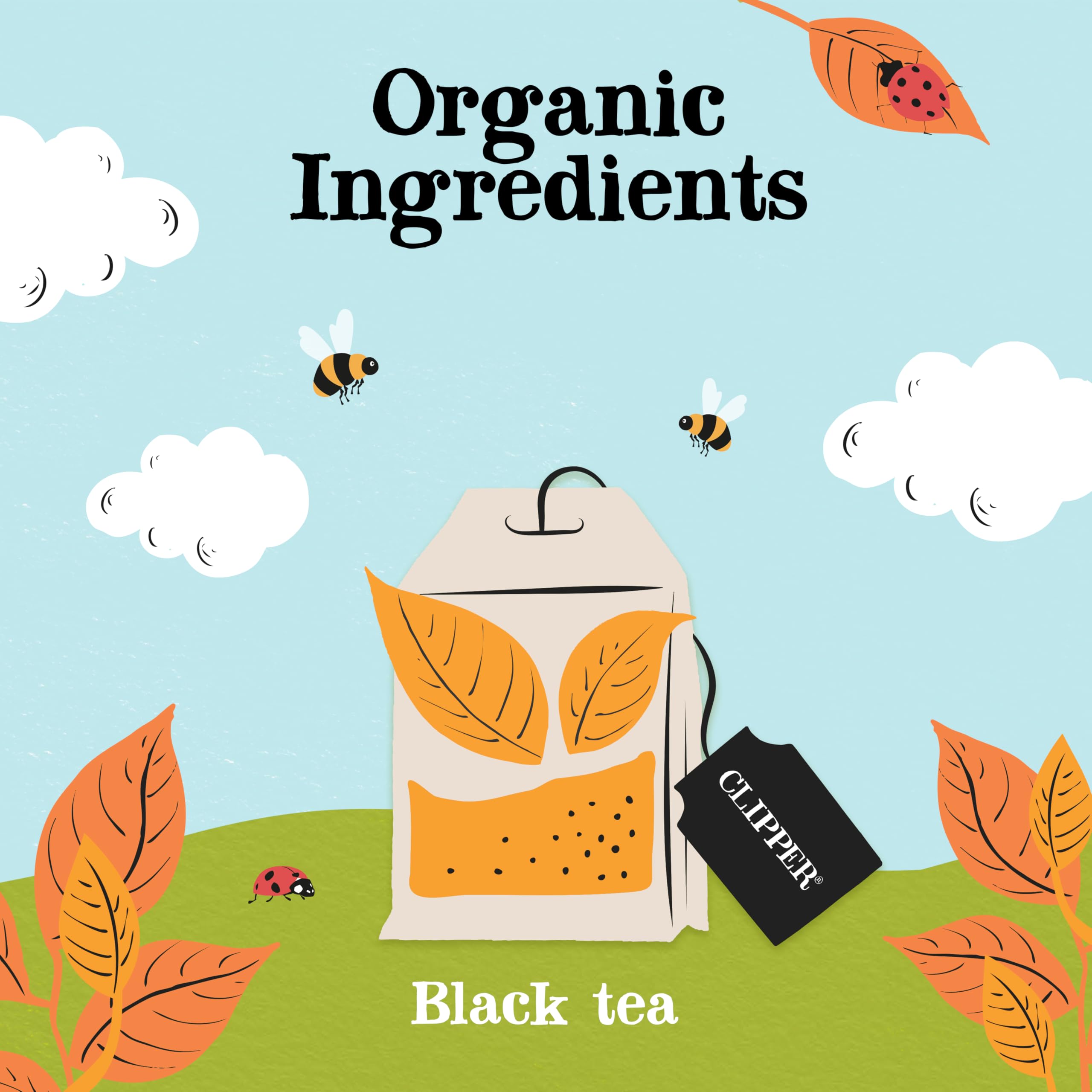 Clipper Natural, Fair & Delicious Classic Everyday Black Tea Teabags - 250 Count, Fairtrade, Compostable 3