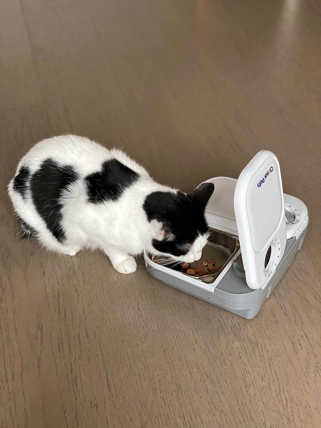 Closer Pets C200 Automatic Feeder - Digital Timer, 2-Bowl, Stainless Steel Inserts | Small Dog/Cat 4