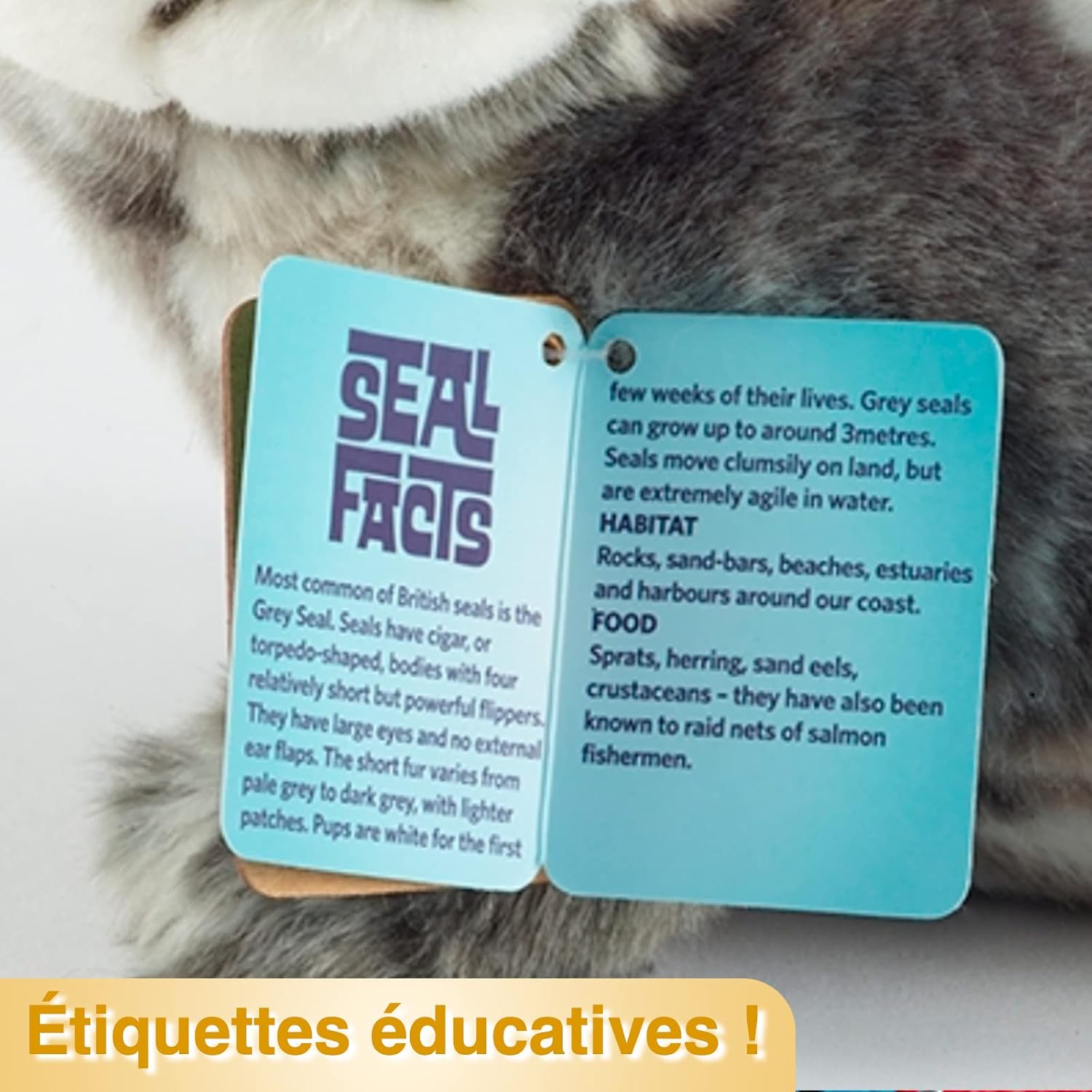 Living Nature Large Otter Soft Toy - Realistic Plush with Educational Fact Tag 5