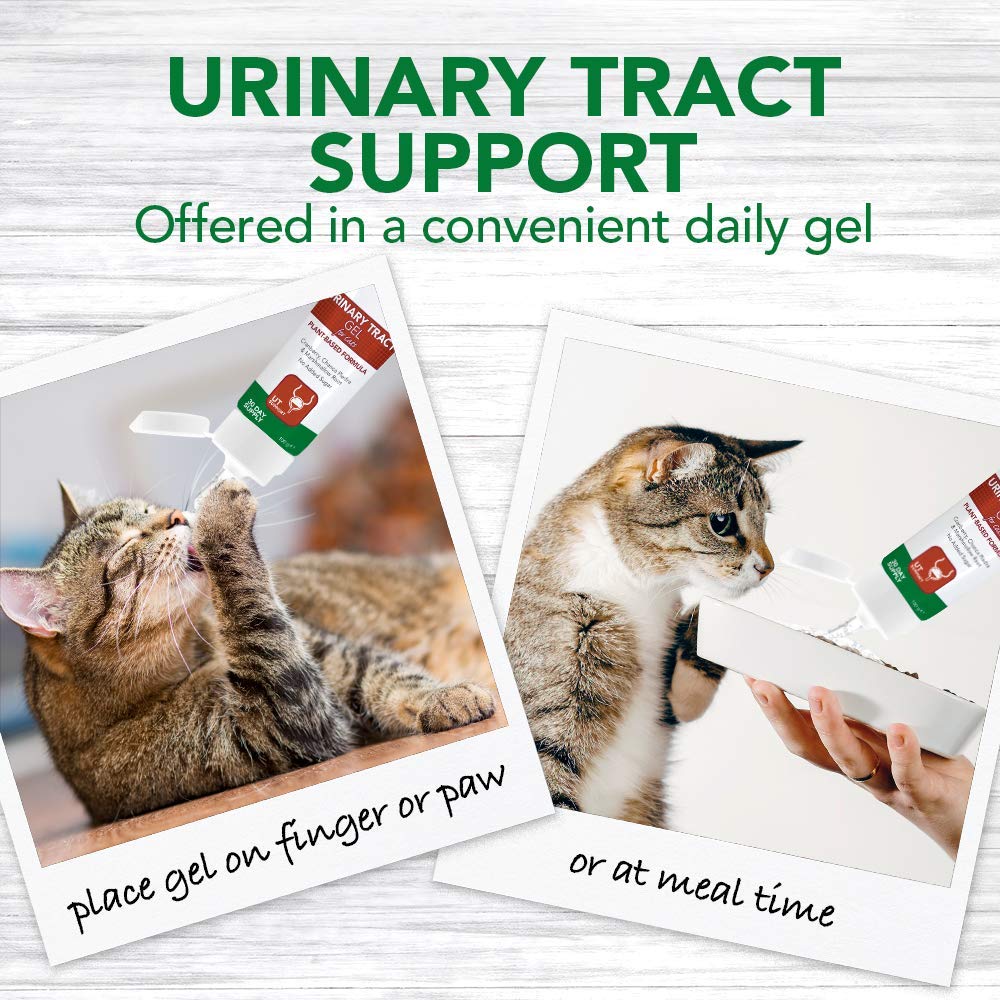Vet's Best Feline Urinary Tract Support Cat Supplement Gel | Chicken Flavor | 100g 4
