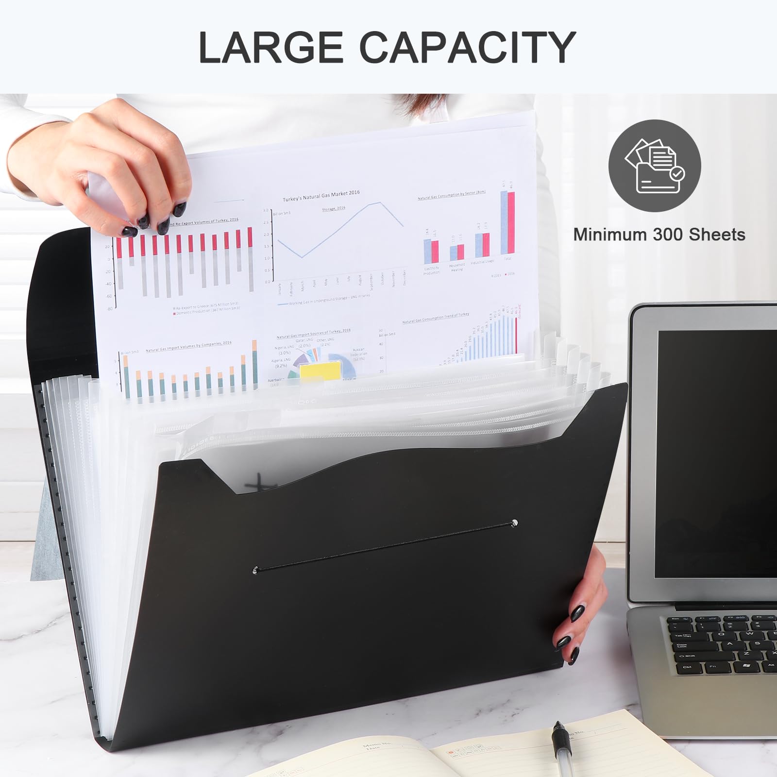 Diboniur A4 Expanding File Organiser - 13 Pockets, Black PP Material | Holds 500 Sheets 3