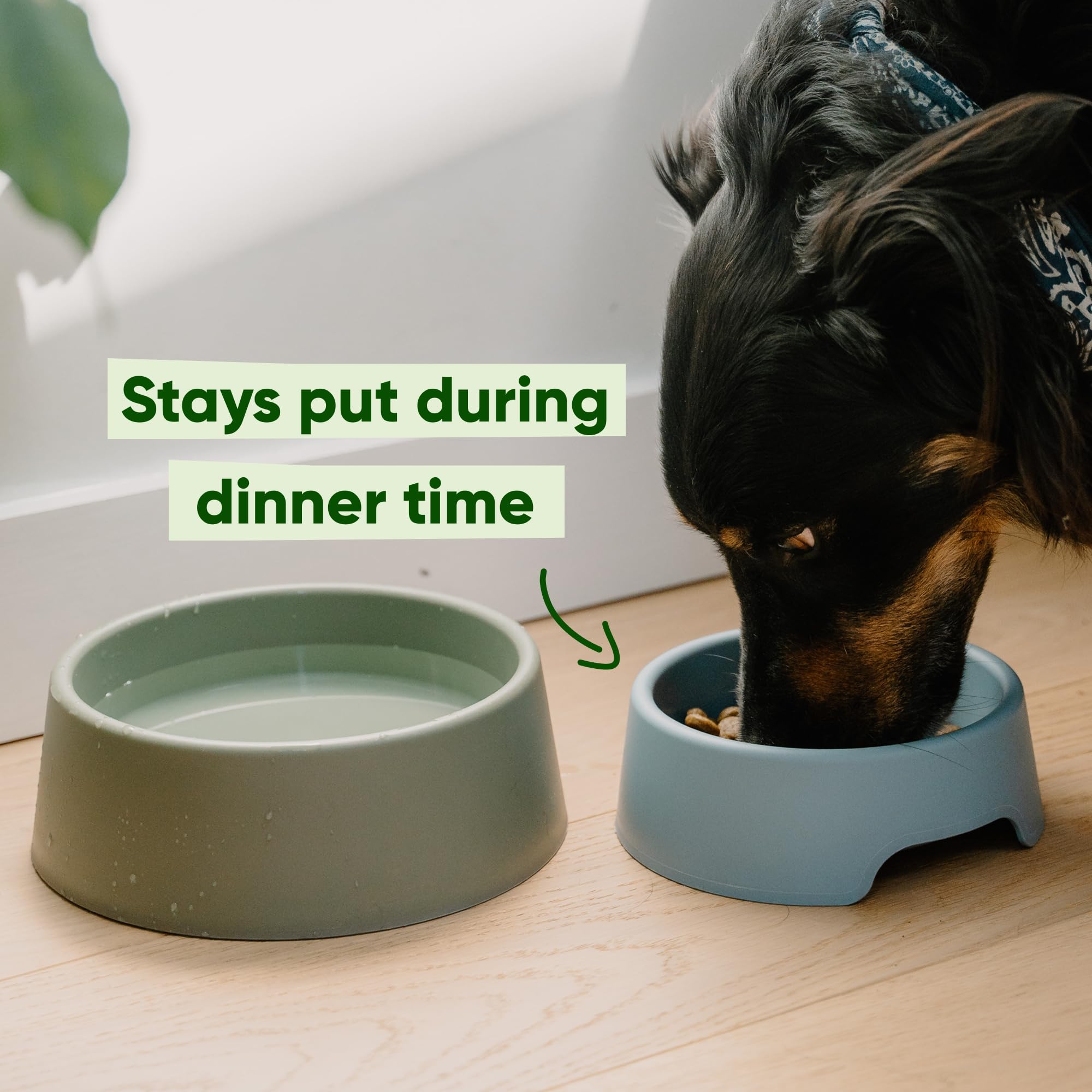 Beco Steady Dog Bowl - Large | Non-Slip, Spill Proof, Recycled Plastic 4