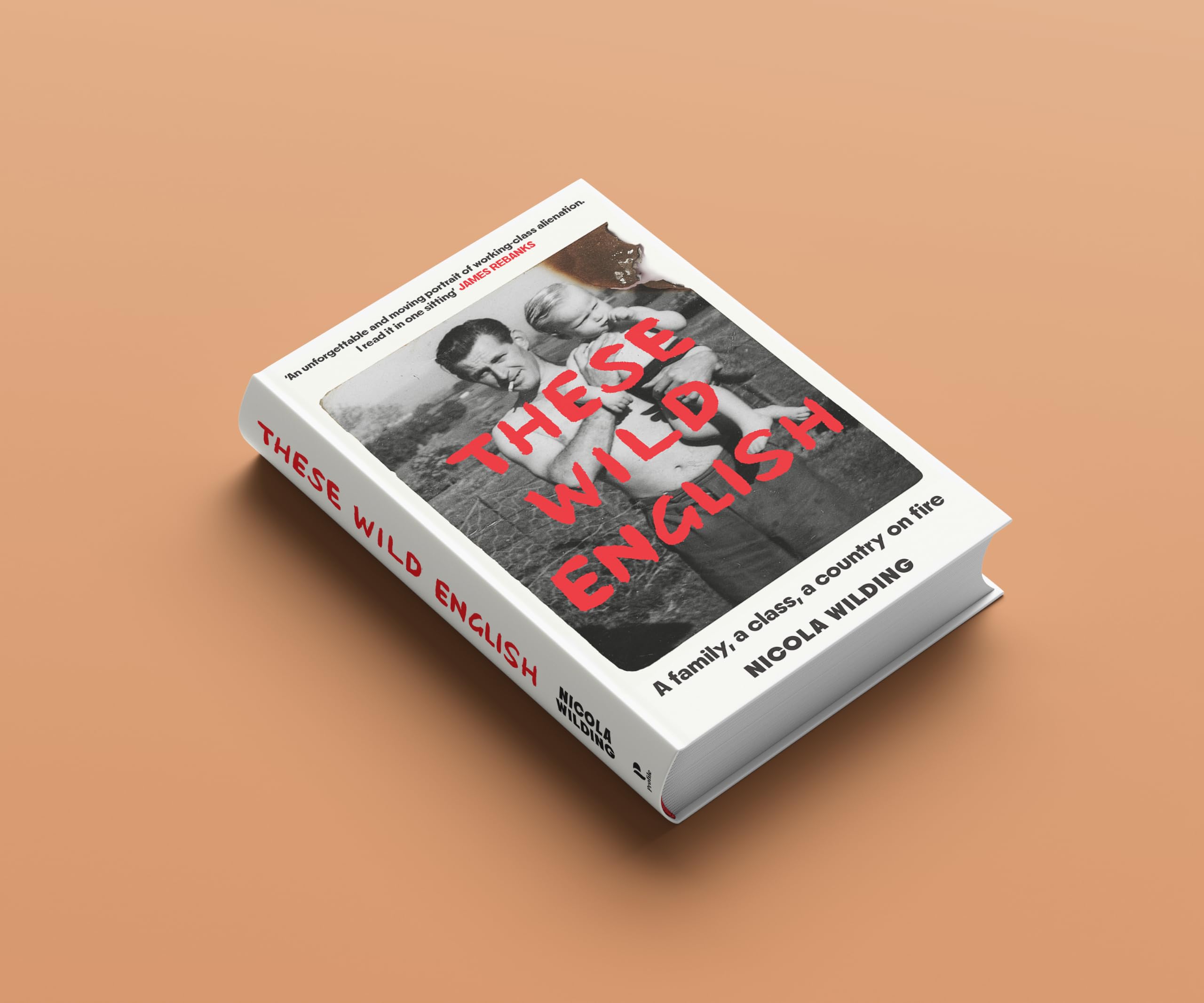 These Wild English: A family, a class, a country on fire by Nicola Wilding