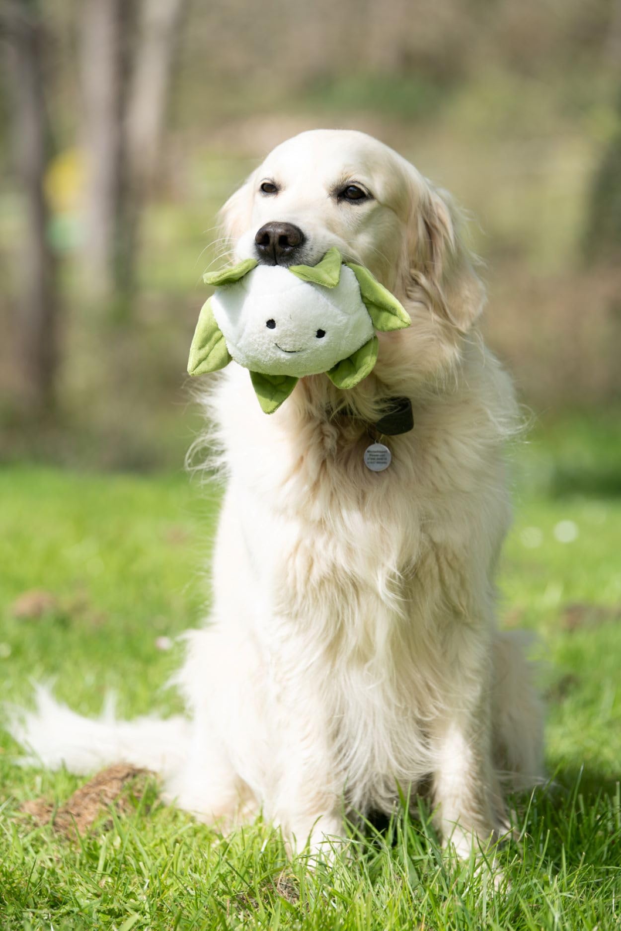 Petface Foodie Faces Cauliflower Plush Dog Toy with Squeaker | Pack of 1 6