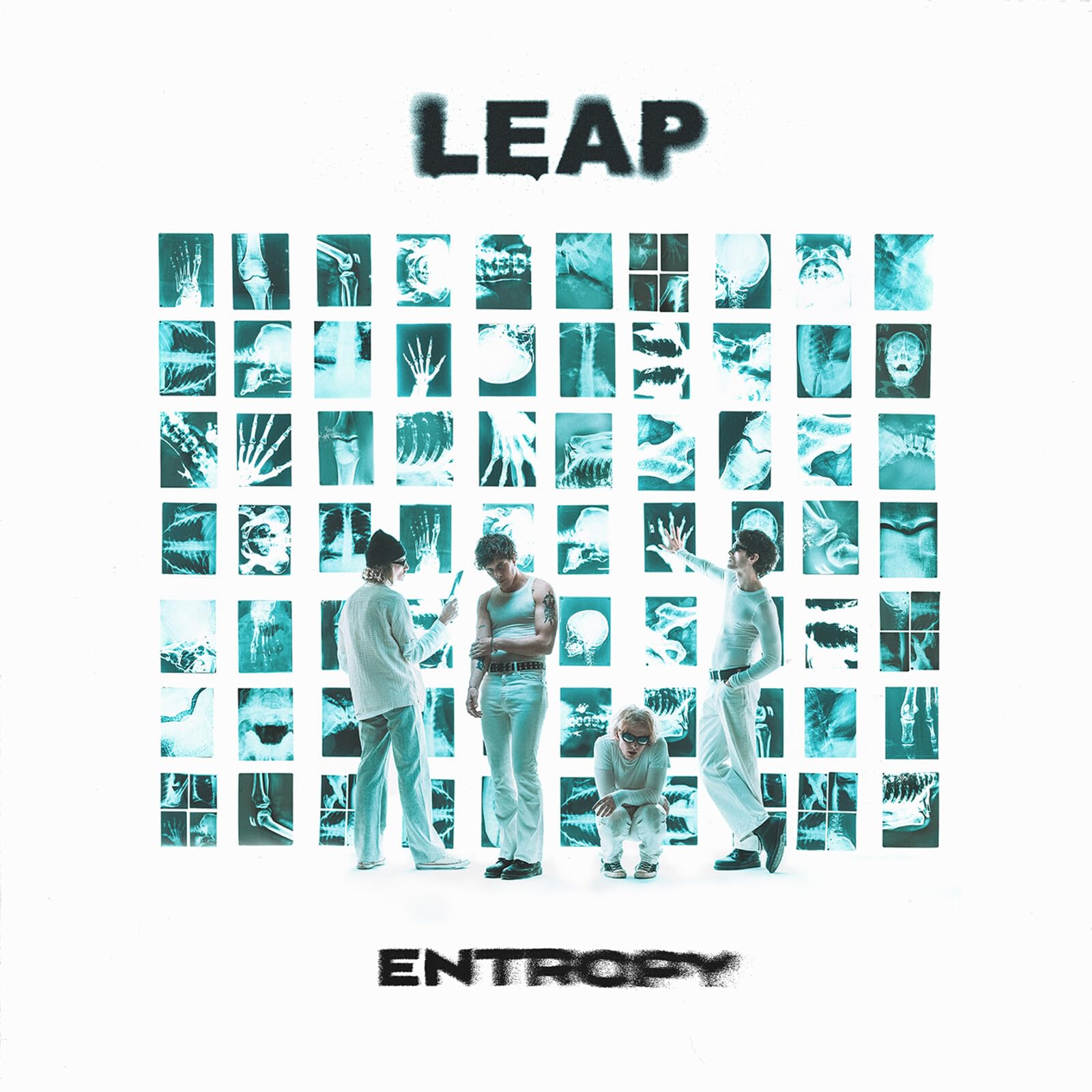 LEAP - Entropy [Vinyl] 1