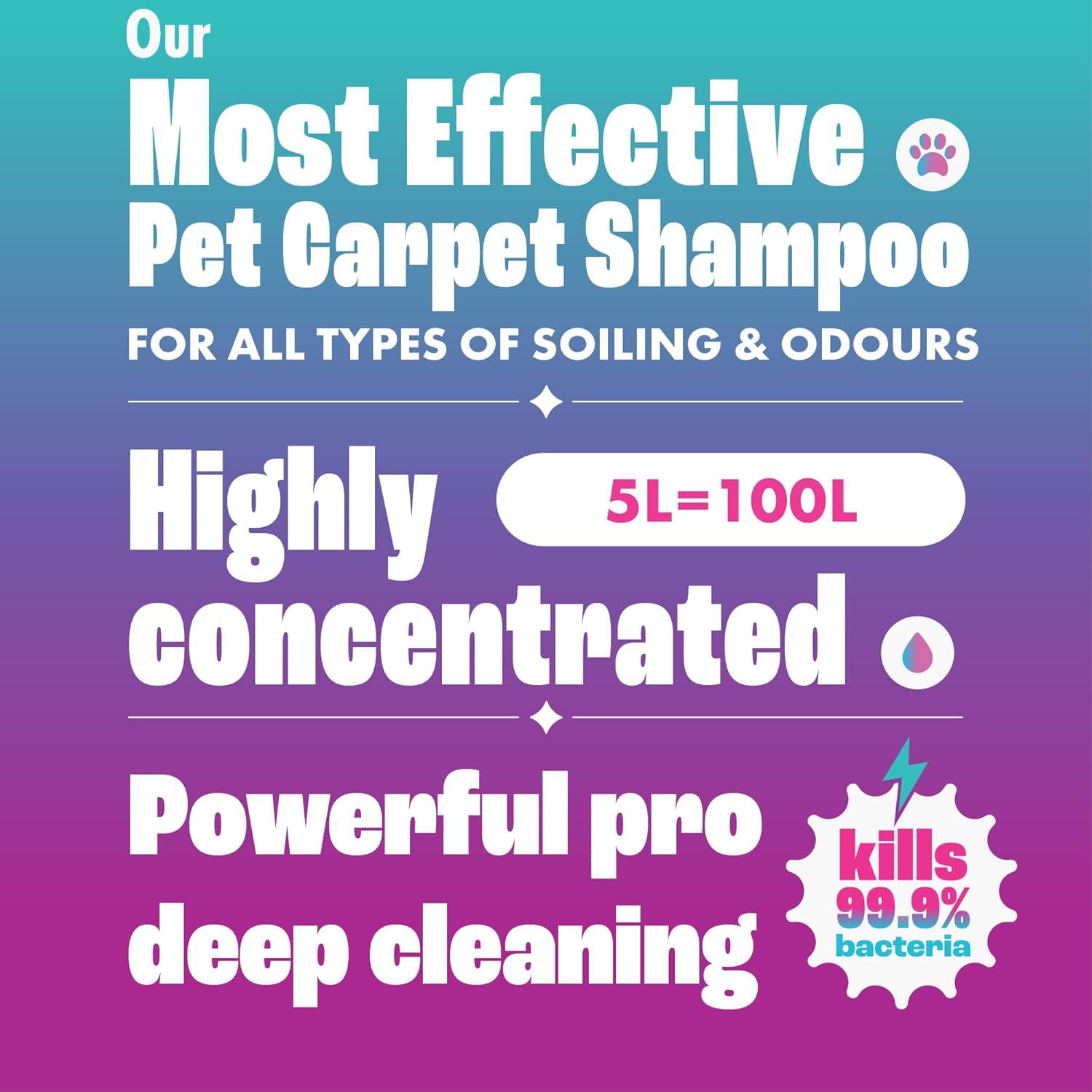 Dirtbusters Pet Pro Antibacterial Carpet Cleaner Shampoo - Kills 99.99% Bacteria | 1L Liquid