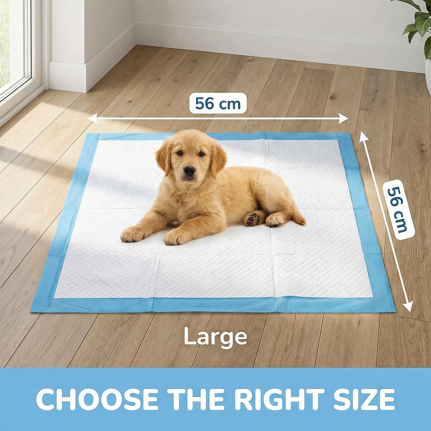 PET'S HUB Disposable Training Pads - Extra Large, 50 Count | 5-Layer Protection | Leak-Proof 2