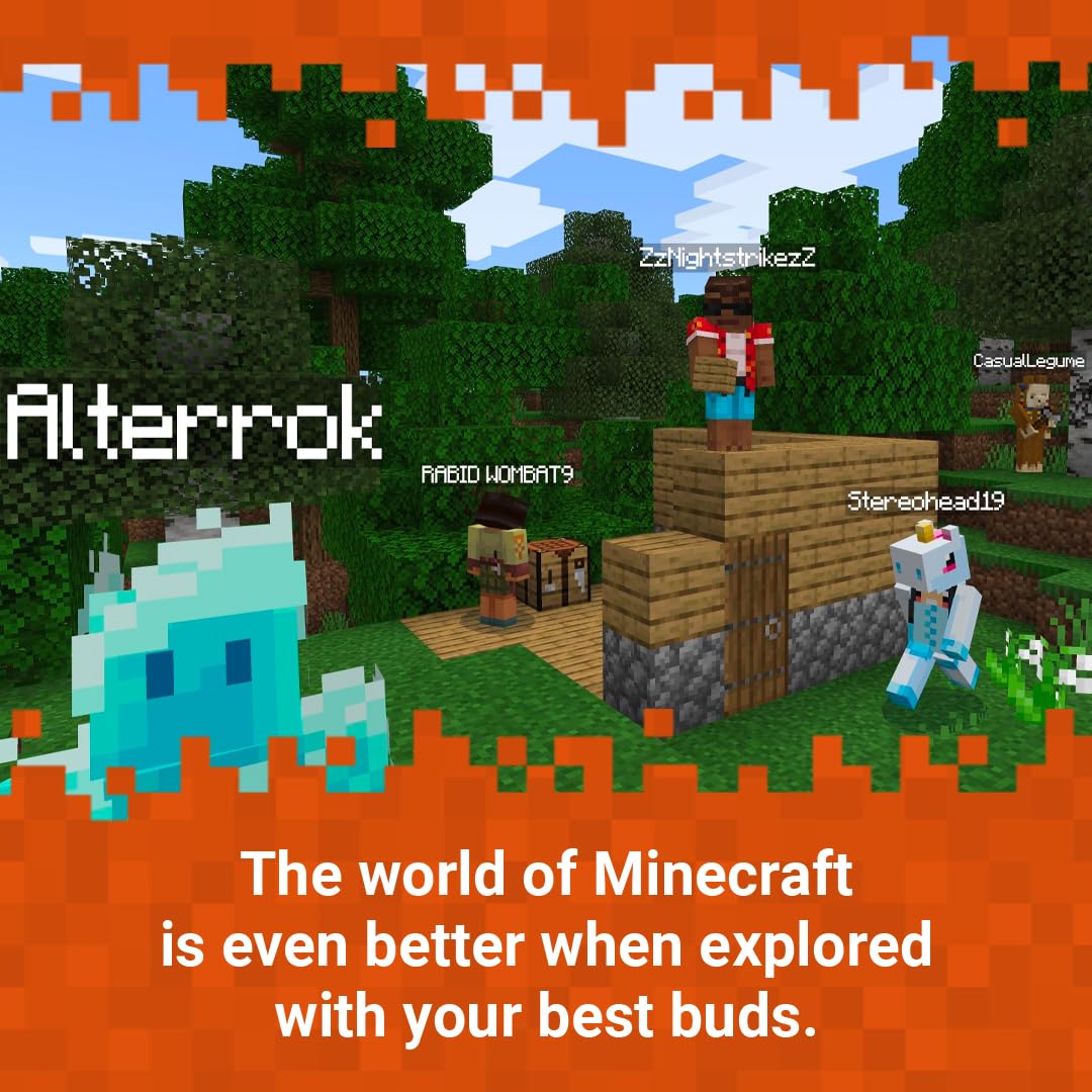 Minecraft - Nintendo Switch Standard Edition 17