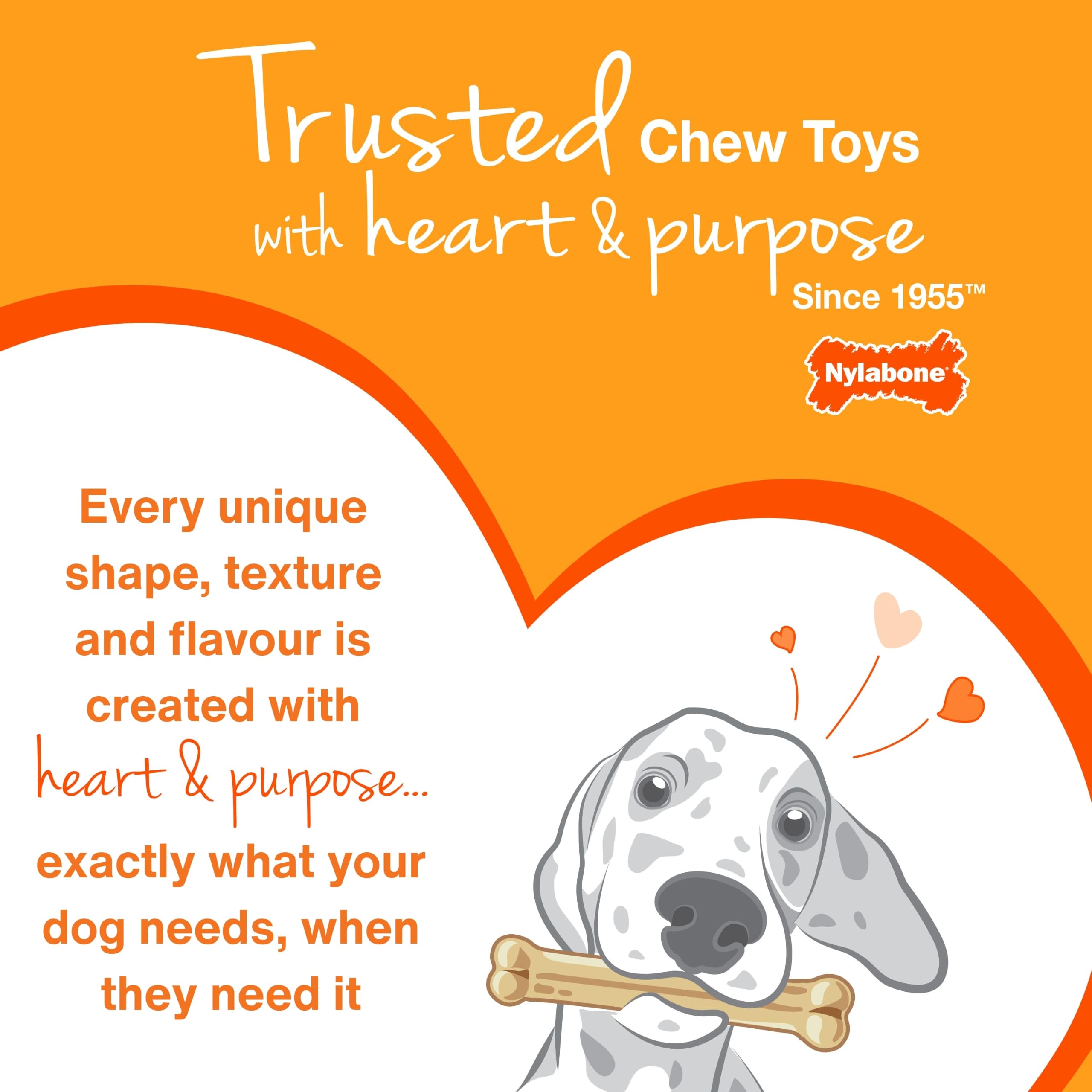 Nylabone Puppy Starter Kit - Pack of 3 Gentle Chew Toys for Puppies up to 11 kg 7