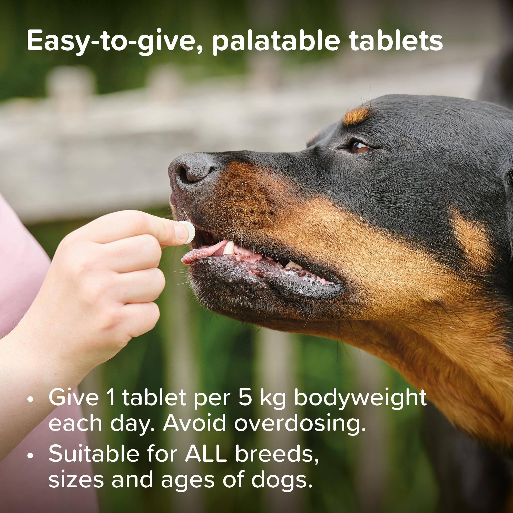 Beaphar Top 10 Multi-Vitamin Tablets for Dogs - 180 Tabs | Immune & Coat Support 5