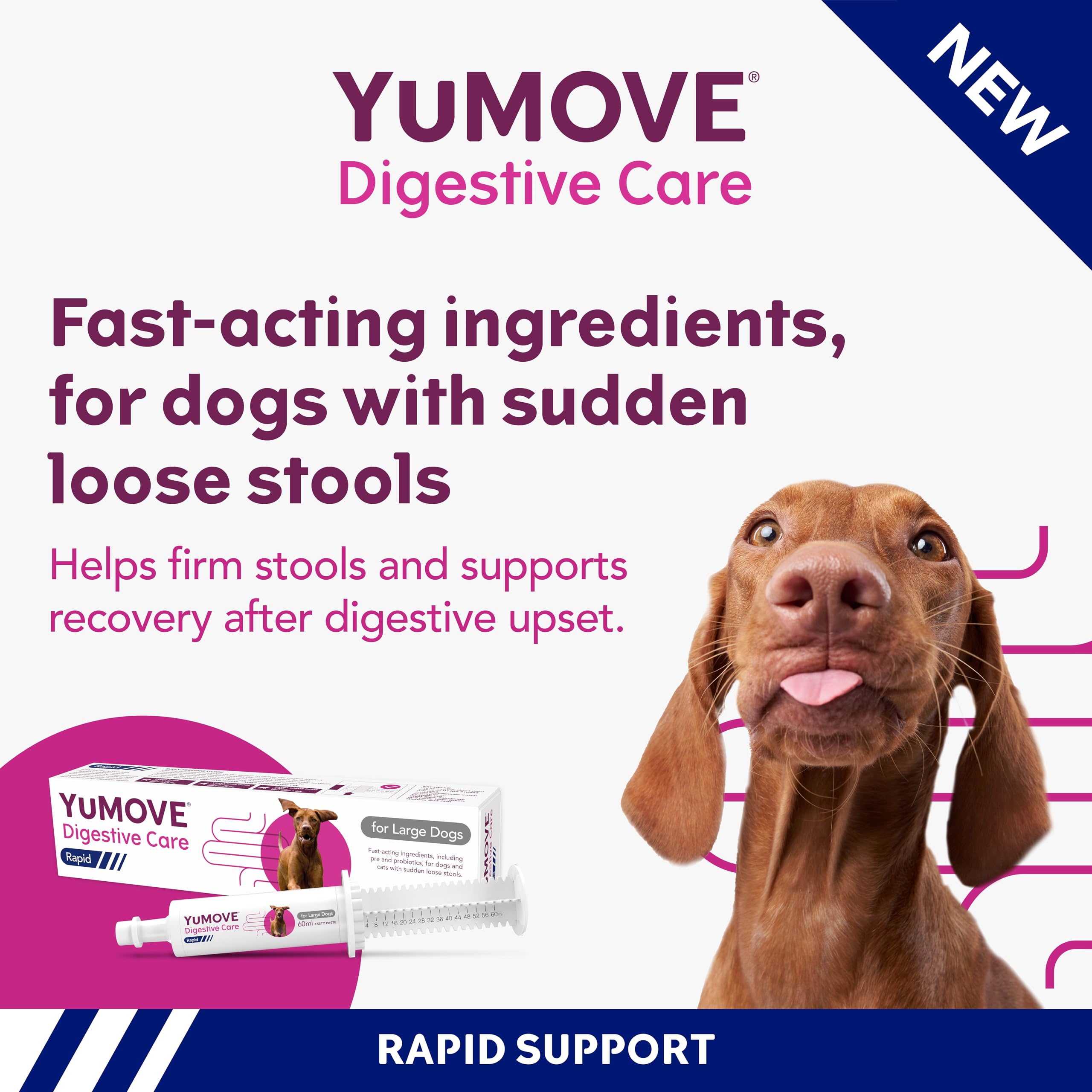 YuMOVE Digestive Care Rapid Probiotic Paste for Dogs - Fast-Acting Stool Firming Aid | 60ml 2