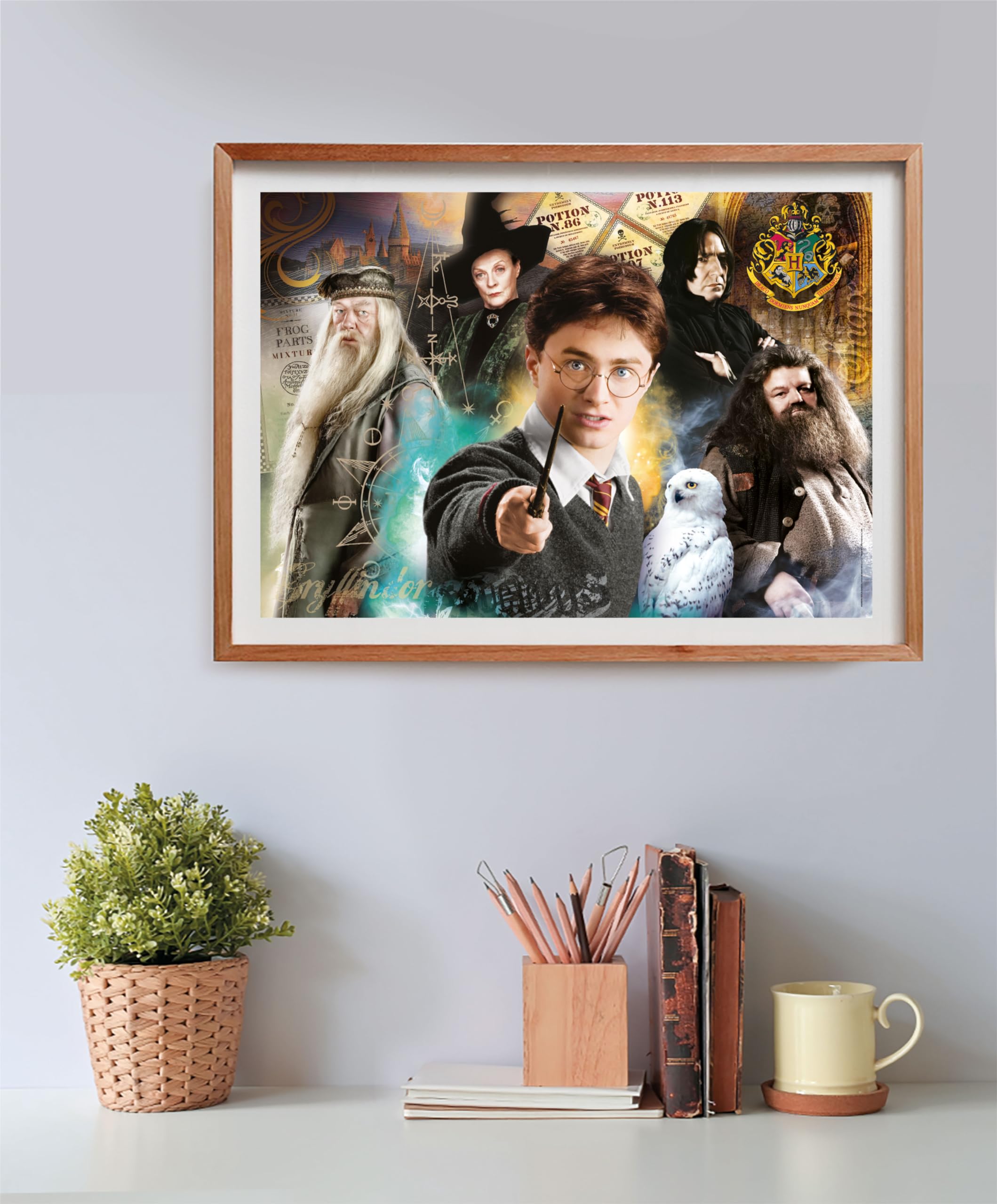 Clementoni Harry Potter Jigsaw Puzzle - 500 Pieces | 49 x 36 cm Completed Size 6