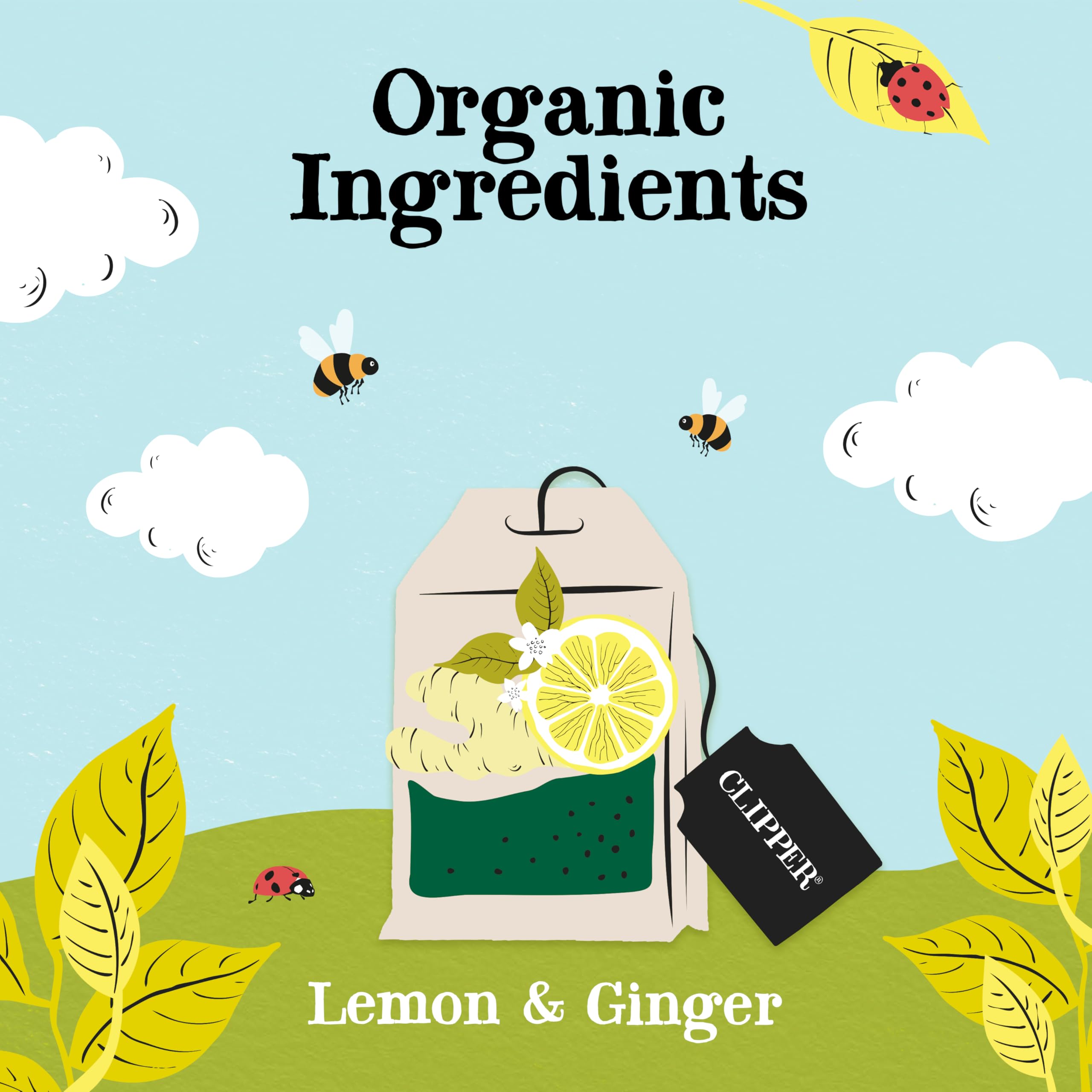 Clipper Natural, Fair & Delicious Organic Lemon & Ginger Herbal Tea Bags - 250 Count, Caffeine Free 3