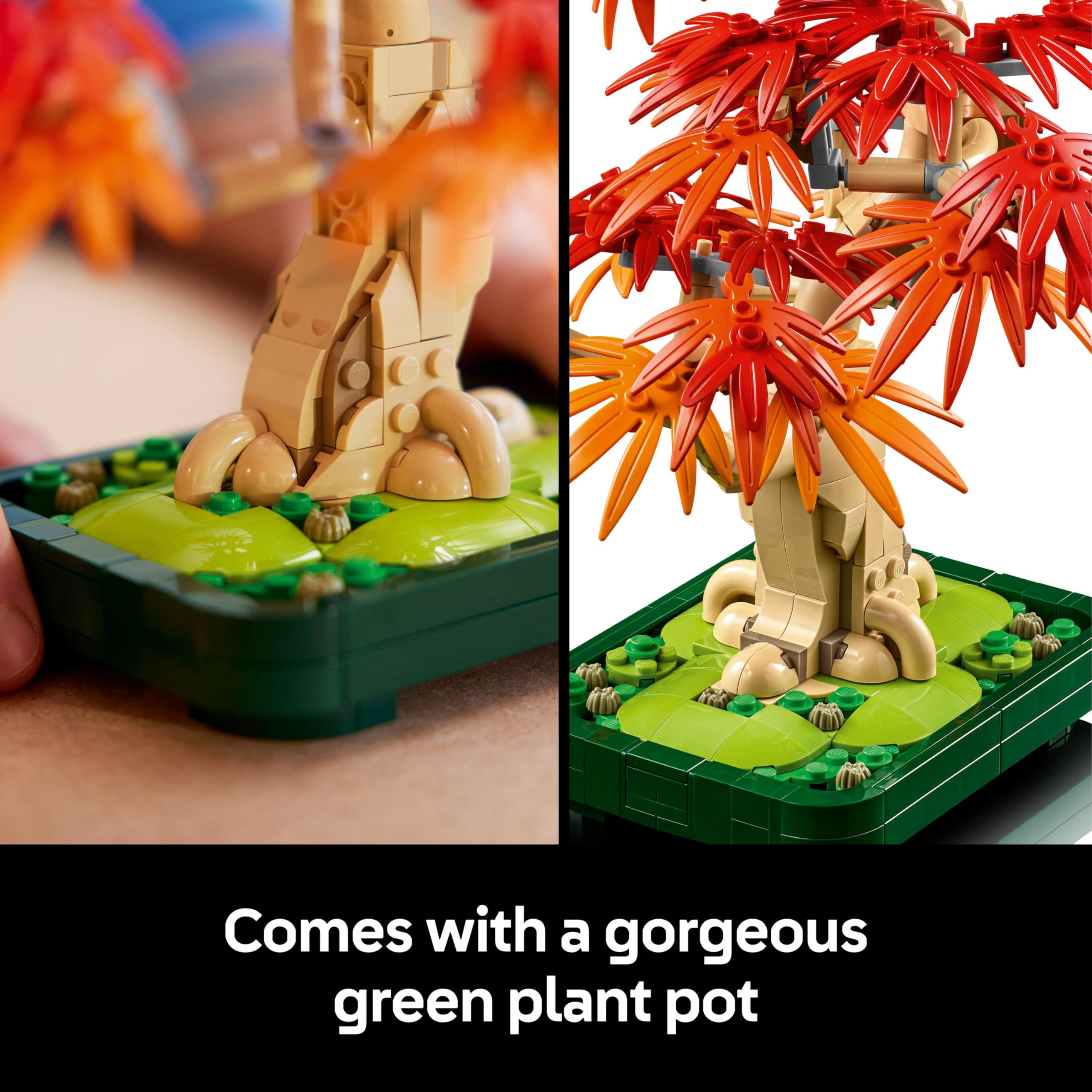 LEGO Botanicals Japanese Red Maple Bonsai Tree Building Set 10348 | Ages 18+ 5