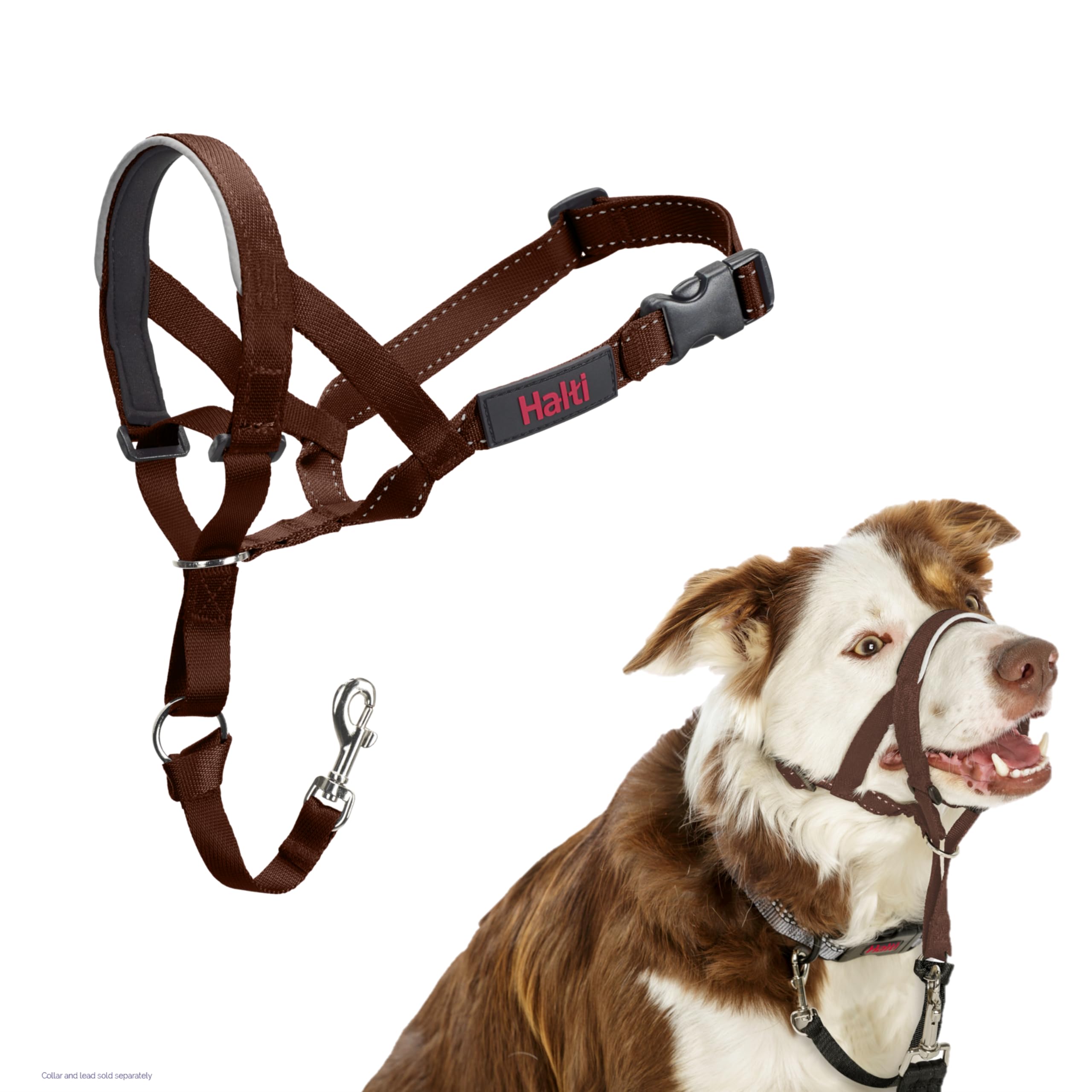Halti Headcollar - Stops Pulling | Reflective Accents | Size 2 Deep Walnut