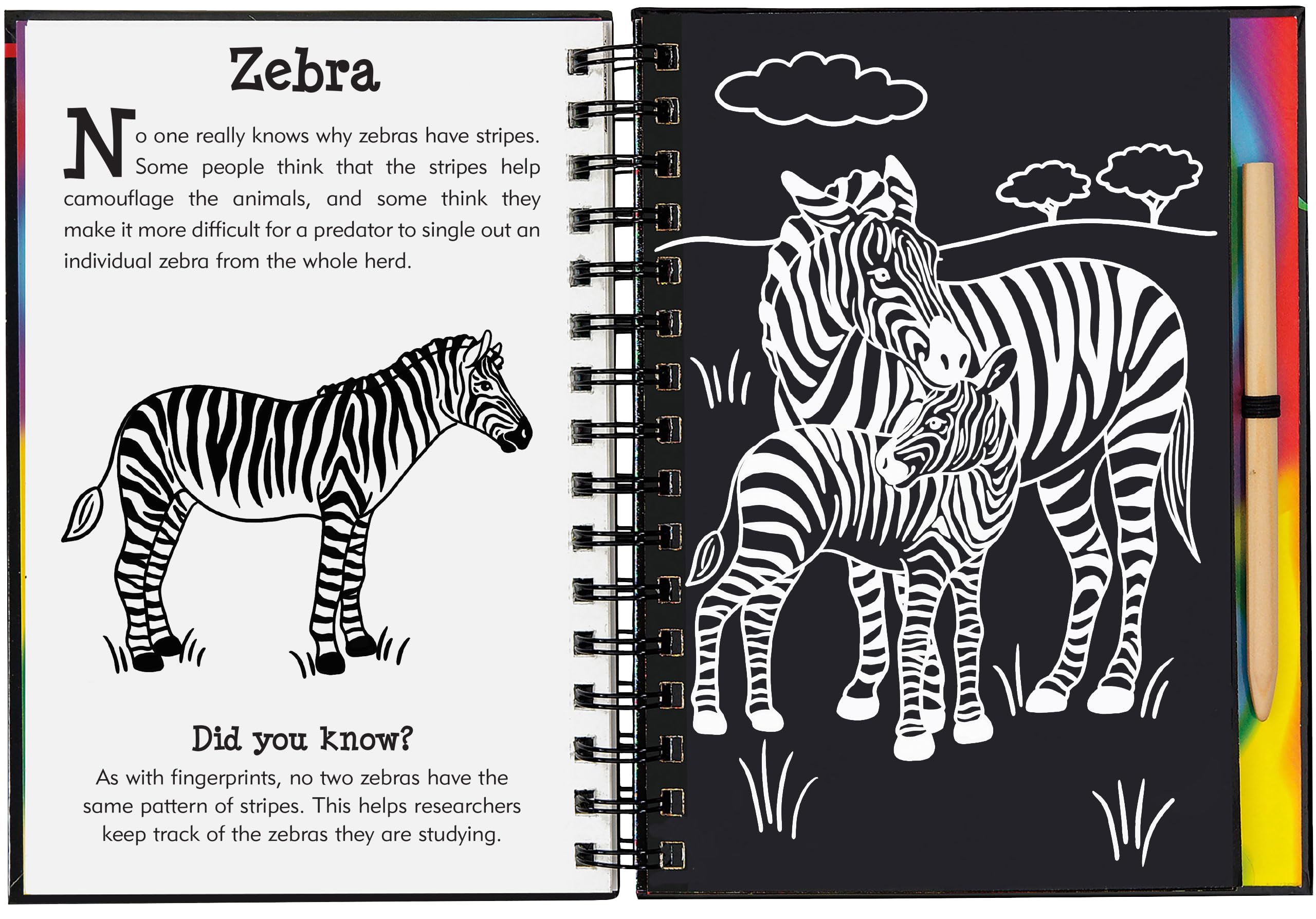 Peter Pauper Press Wild Safari Scratch & Sketch Activity Book - Trace Along, Ages 5-9 6