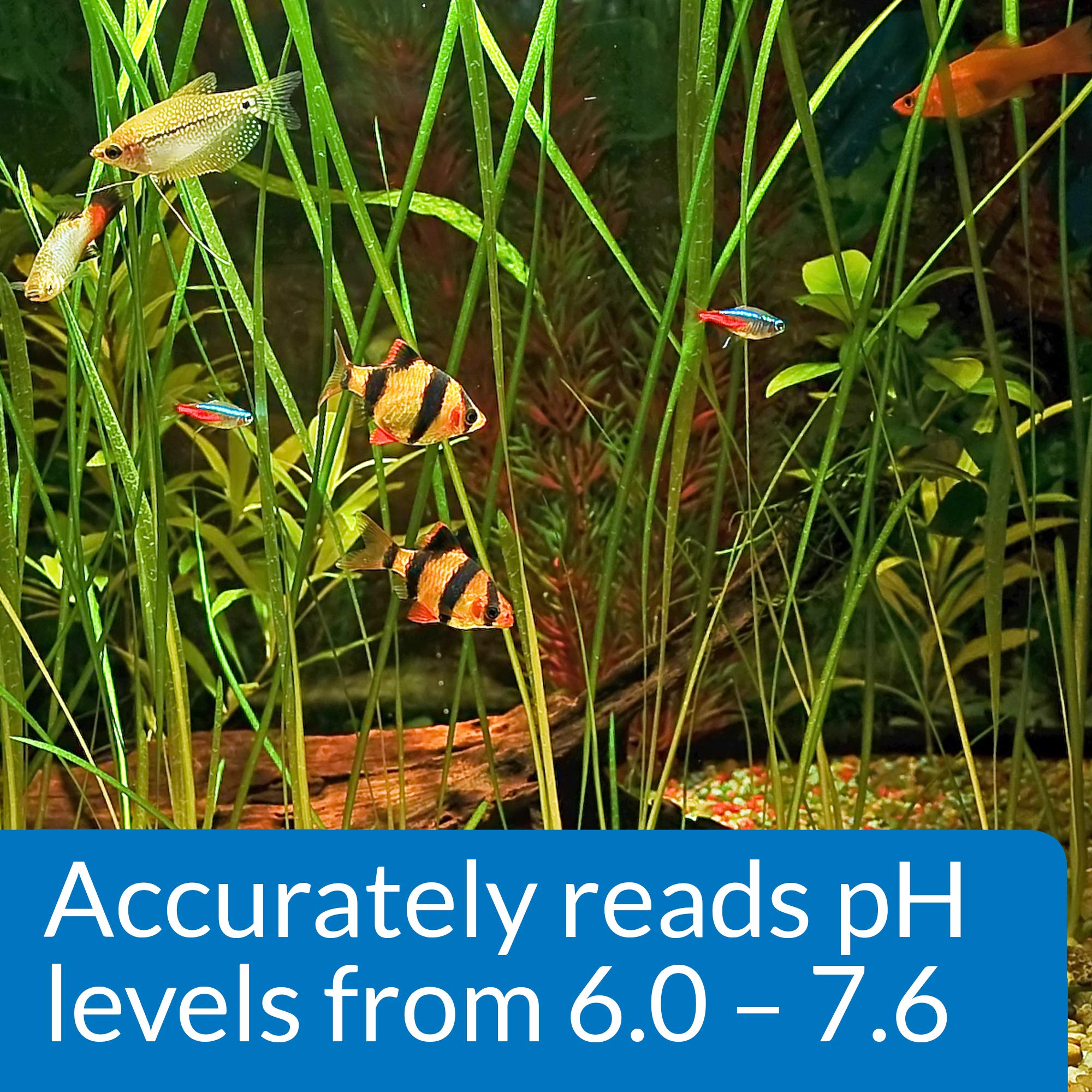API PH Test Kit - 250 Tests for Freshwater Aquarium Water pH 6.0-7.6 Range 6